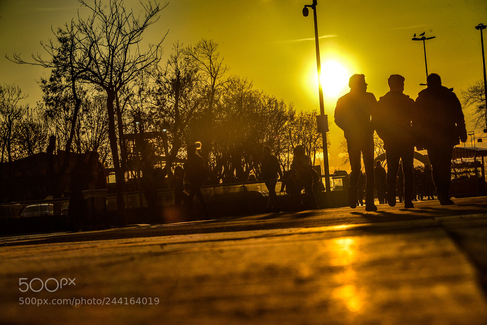 Nikon D800 sample photo. Istanbul photography