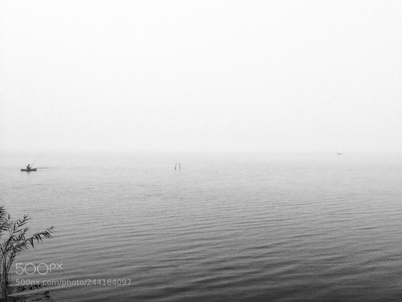 Apple iPhone 4S sample photo. Morning fog photography