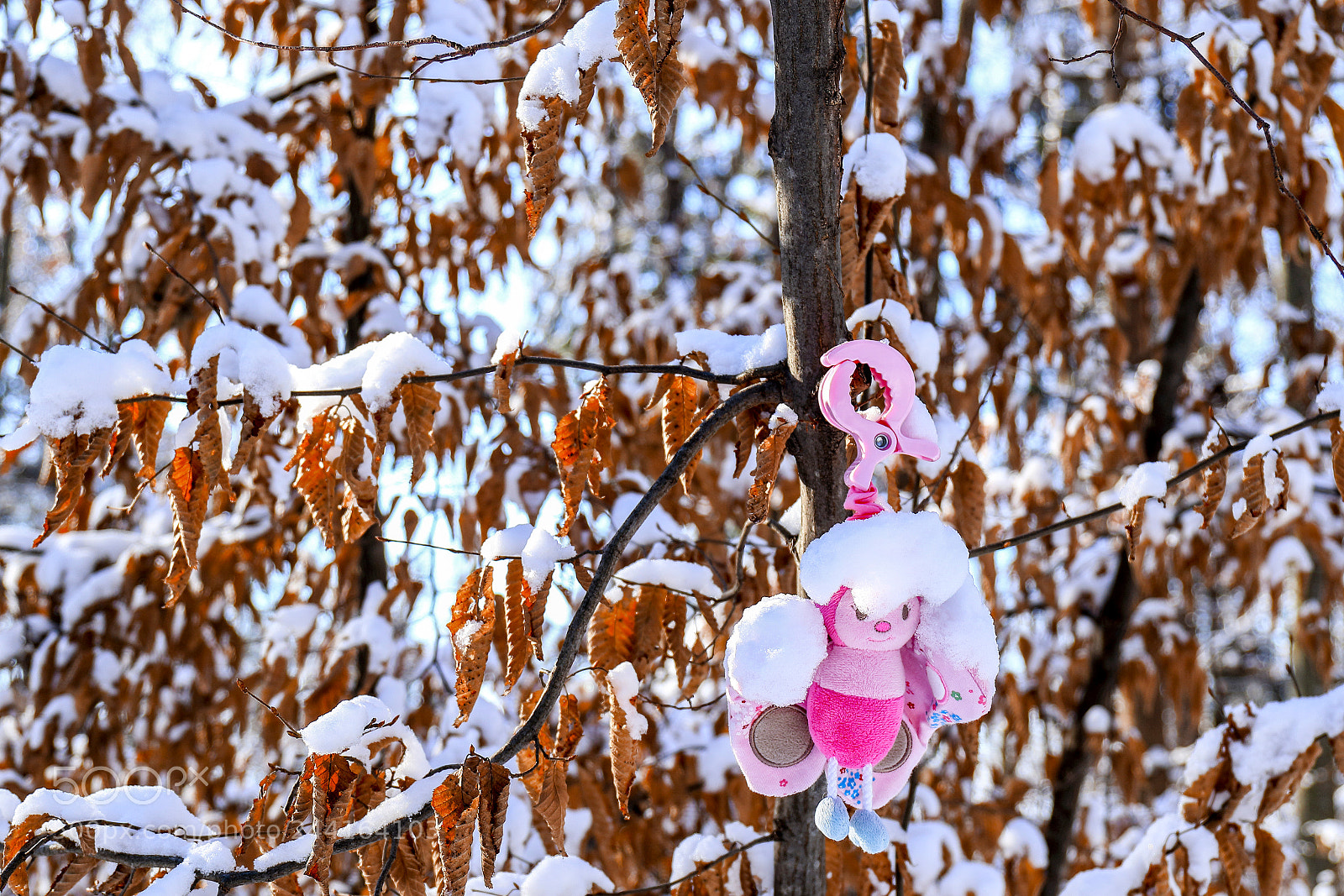 Canon EOS 7D Mark II sample photo. The pink butterfly photography