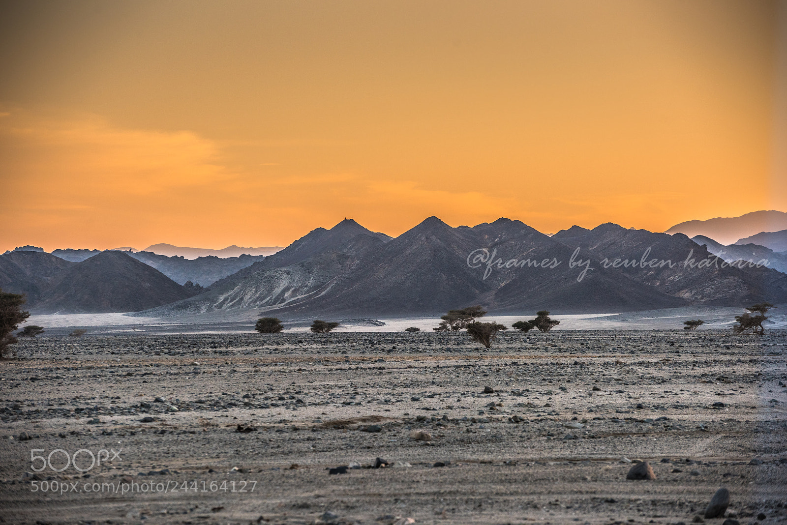 Nikon D810 sample photo. Wadi el gamel (of ) photography