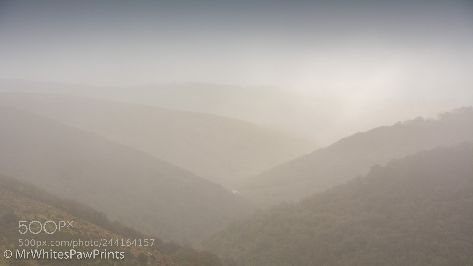 Nikon D7100 sample photo. Misty dart valley photography