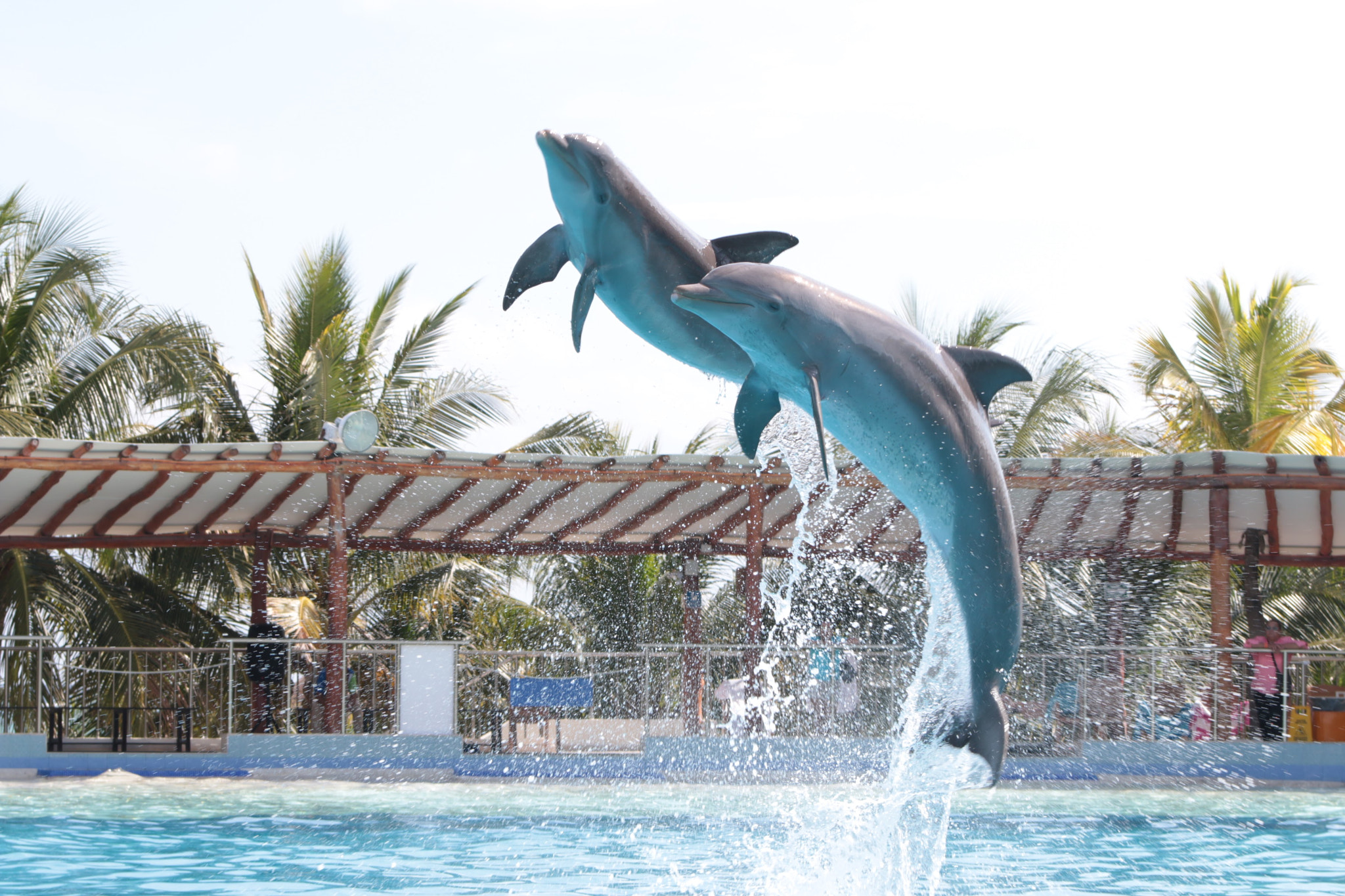 Canon EF 75-300mm f/4-5.6 USM sample photo. Cancun mexico photography