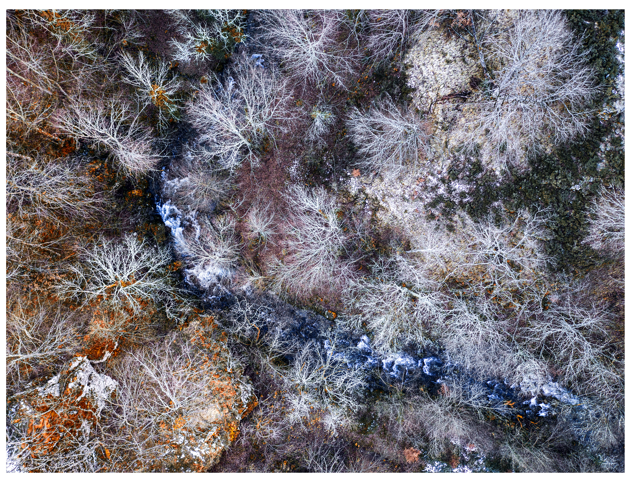DJI FC550 sample photo. Zenit photography