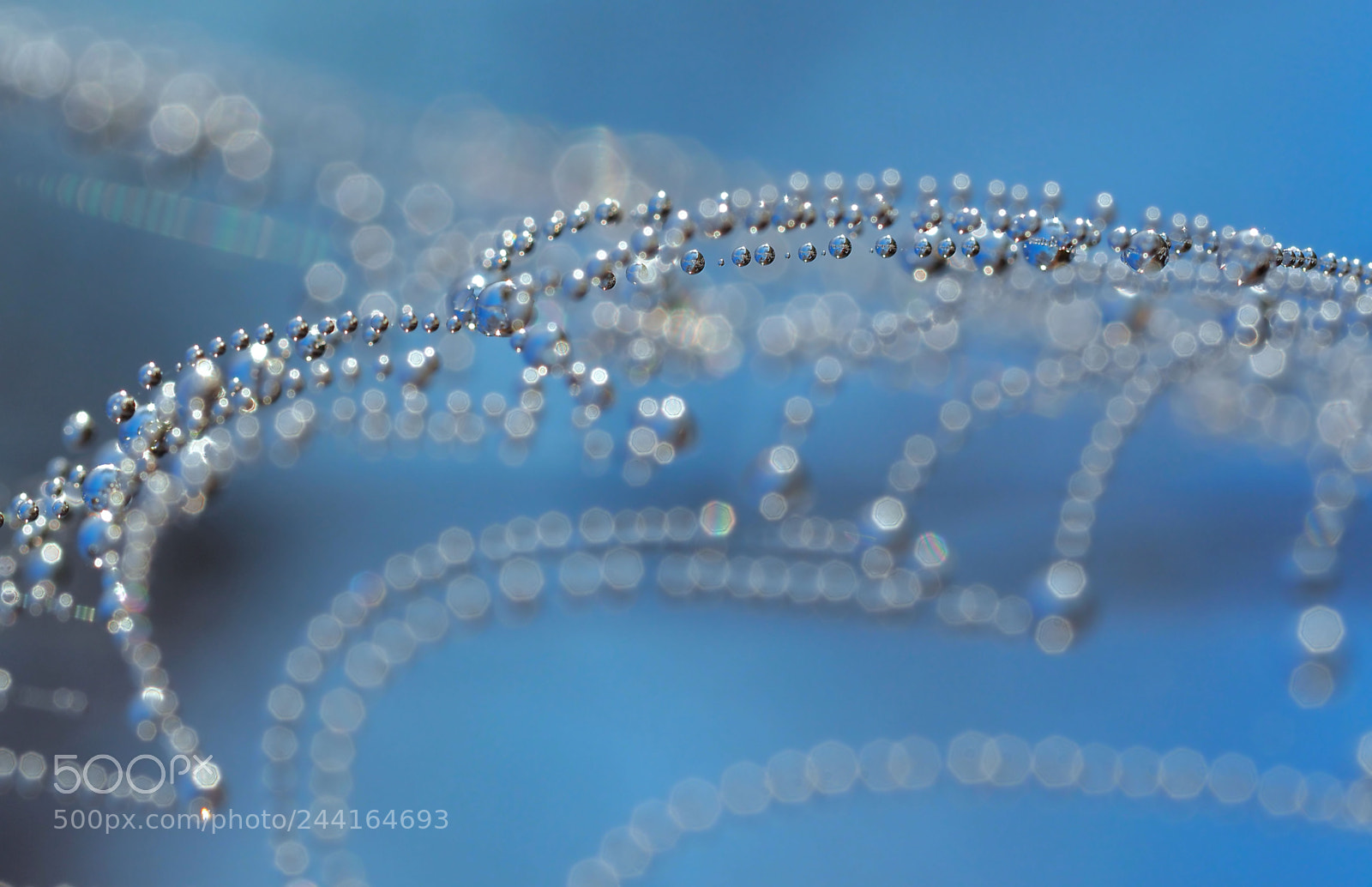 Olympus OM-D E-M5 II sample photo. Necklace of dew pearls... photography