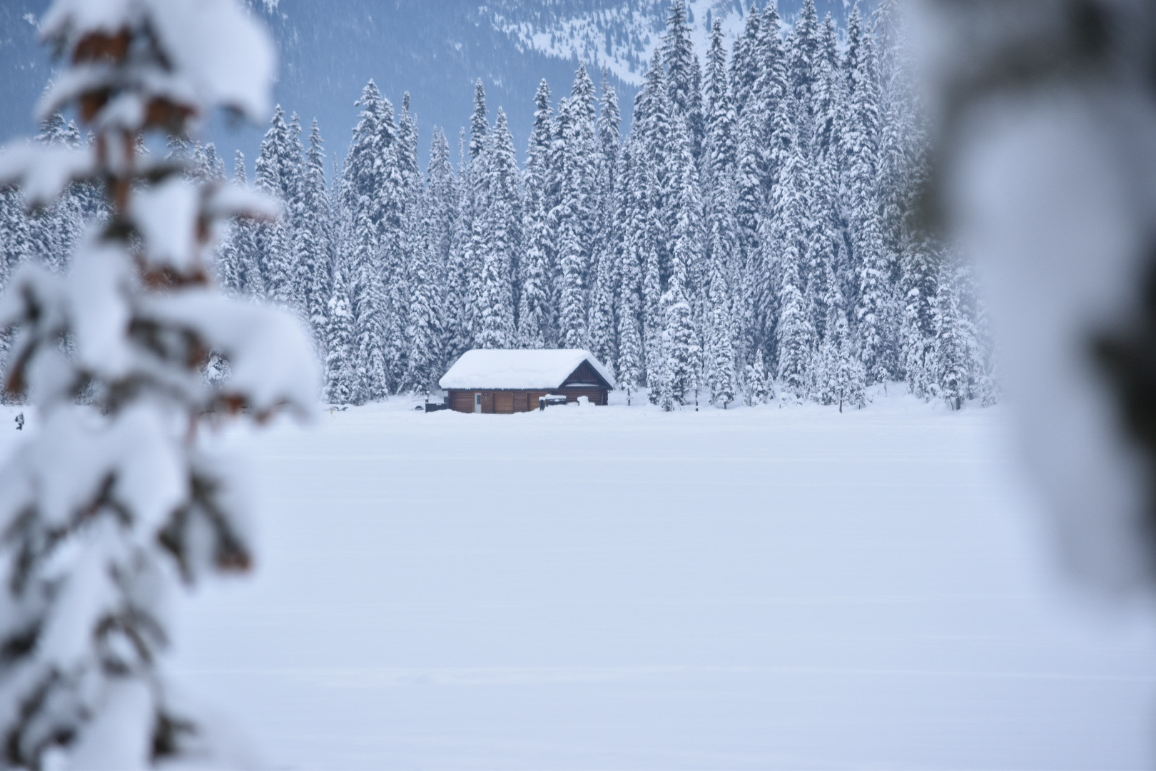 Nikon D5500 sample photo. Cottage in the snow photography
