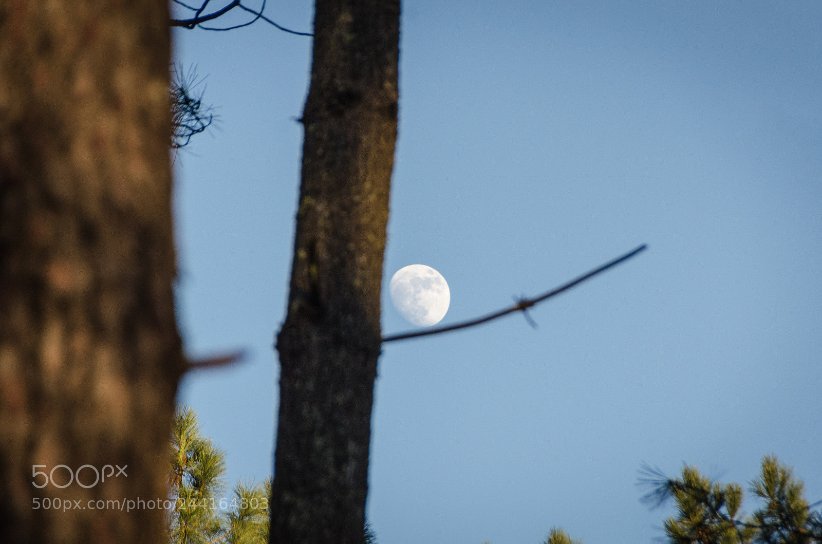 Nikon D5100 sample photo. La lune sur une photography
