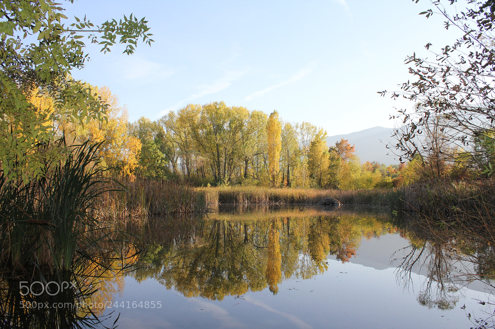 Canon EOS 550D (EOS Rebel T2i / EOS Kiss X4) sample photo. South park in autumn photography