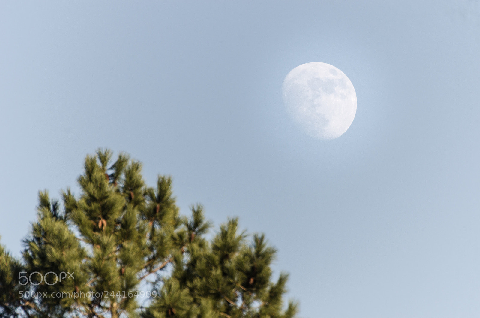 Nikon D5100 sample photo. La lune d un photography