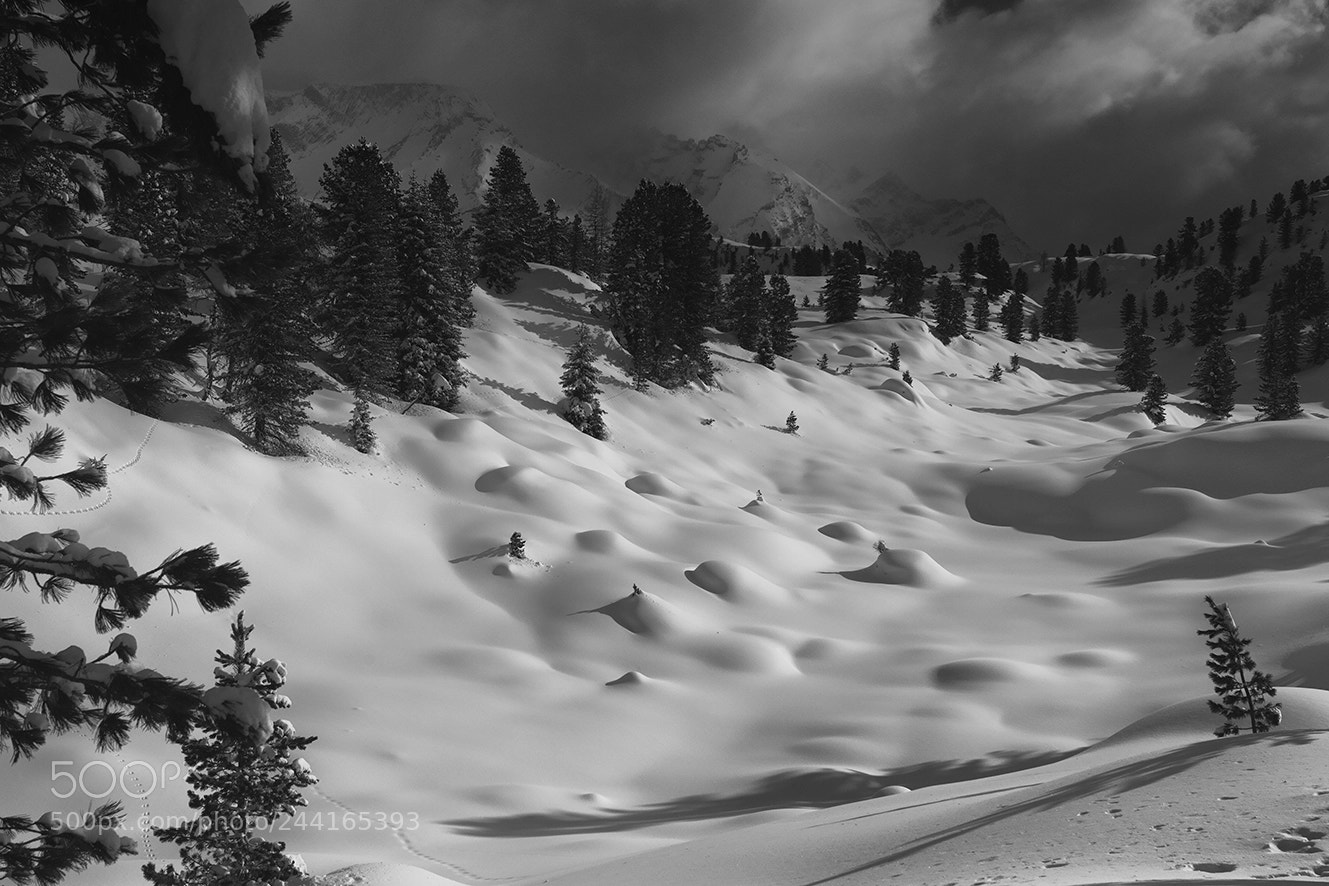 Sigma SD1 Merrill sample photo. Fanes-sennes-braies national park photography