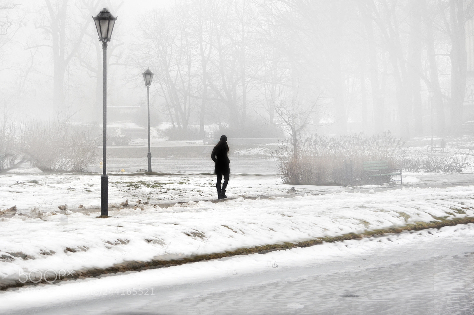 Nikon D90 sample photo. Walking in the fog.... photography