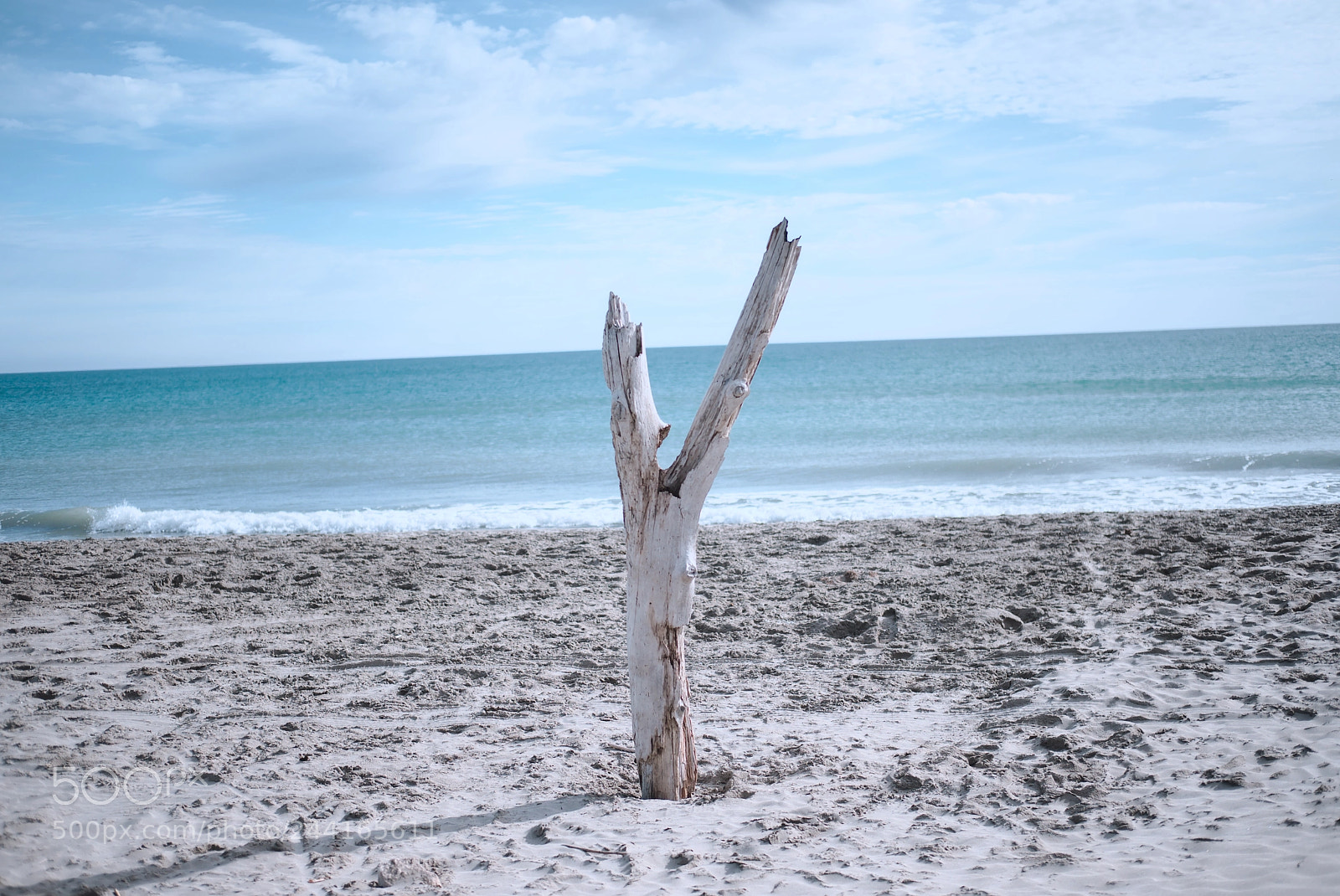 Fujifilm X-T2 sample photo. Why photography