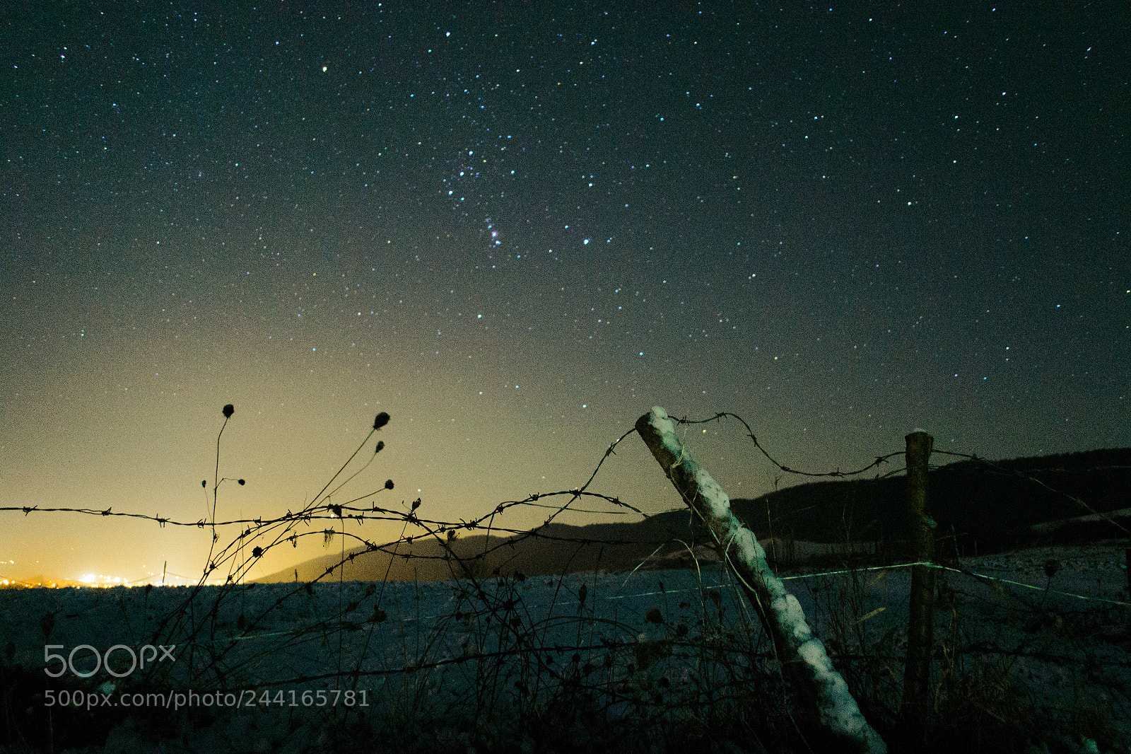 Nikon D3100 sample photo. Stars photography