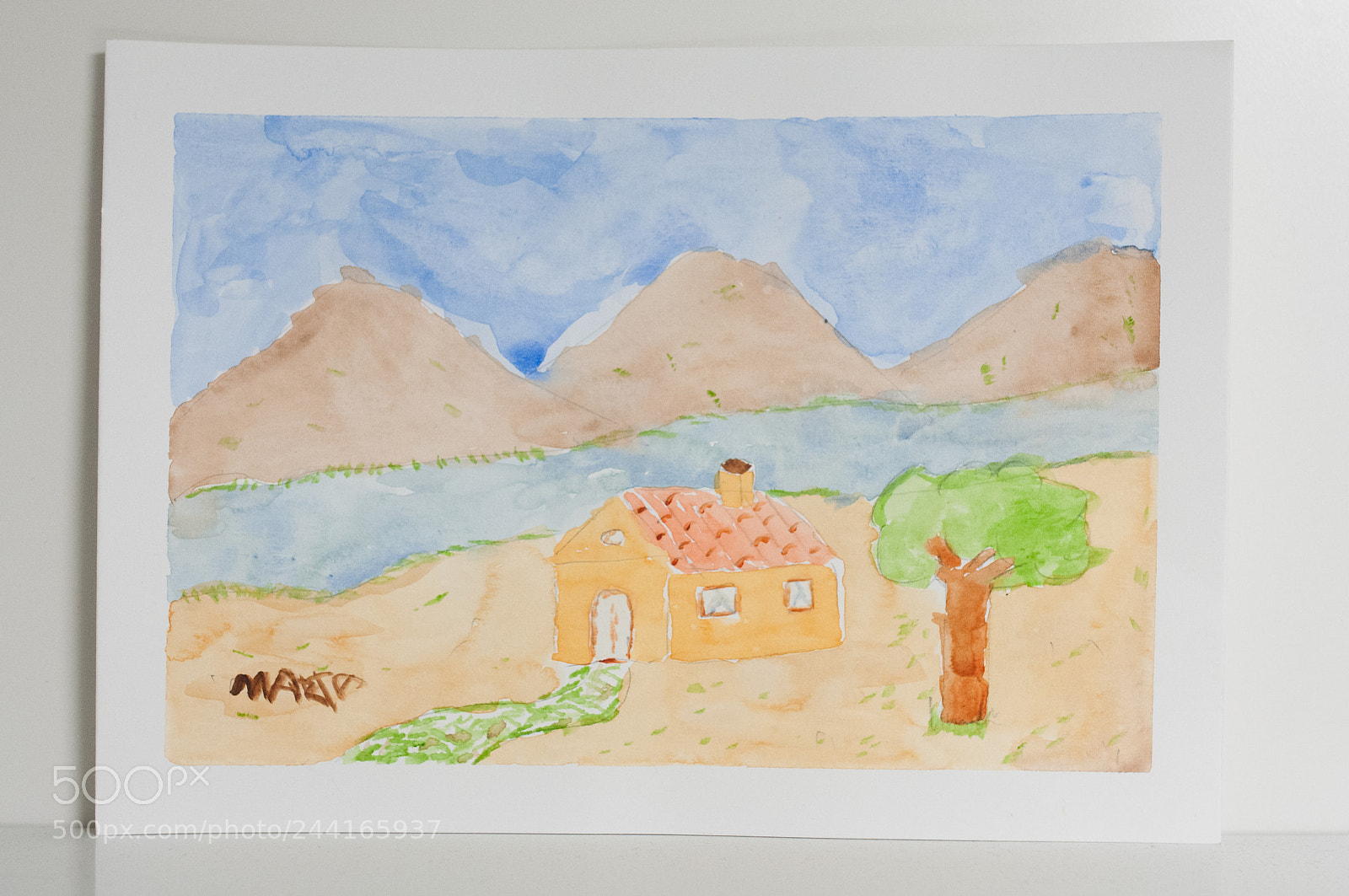 Nikon D300S sample photo. Watercolor photography