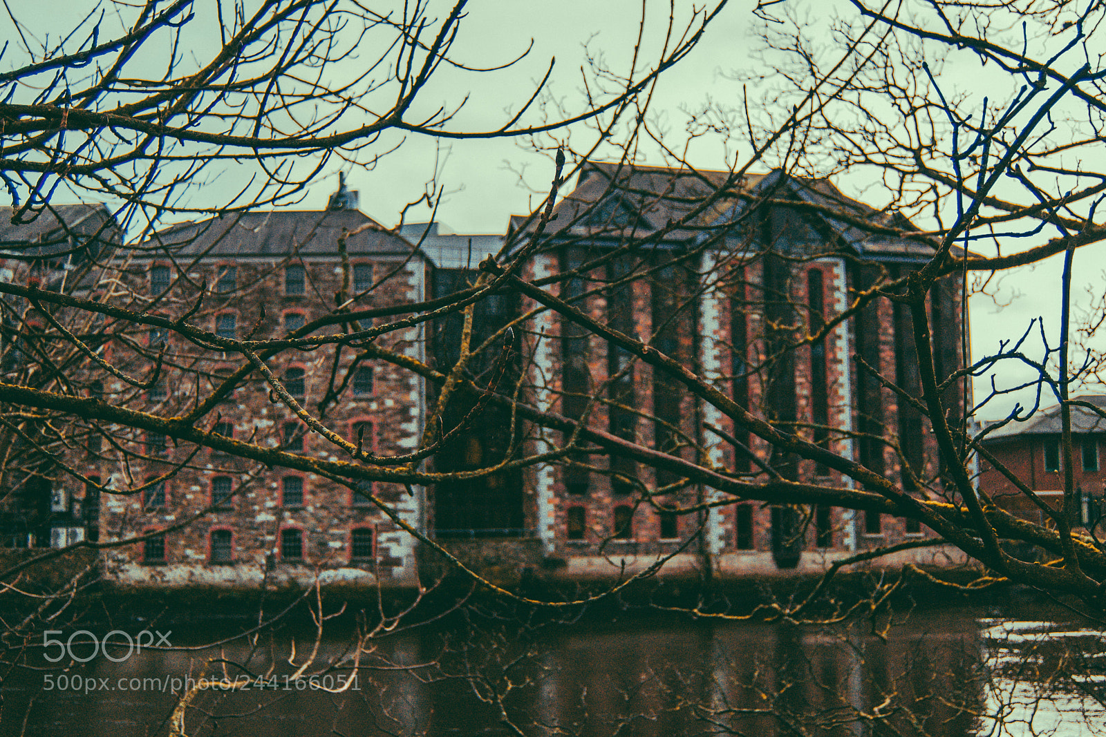 Nikon D3100 sample photo. Abandoned building in cork photography
