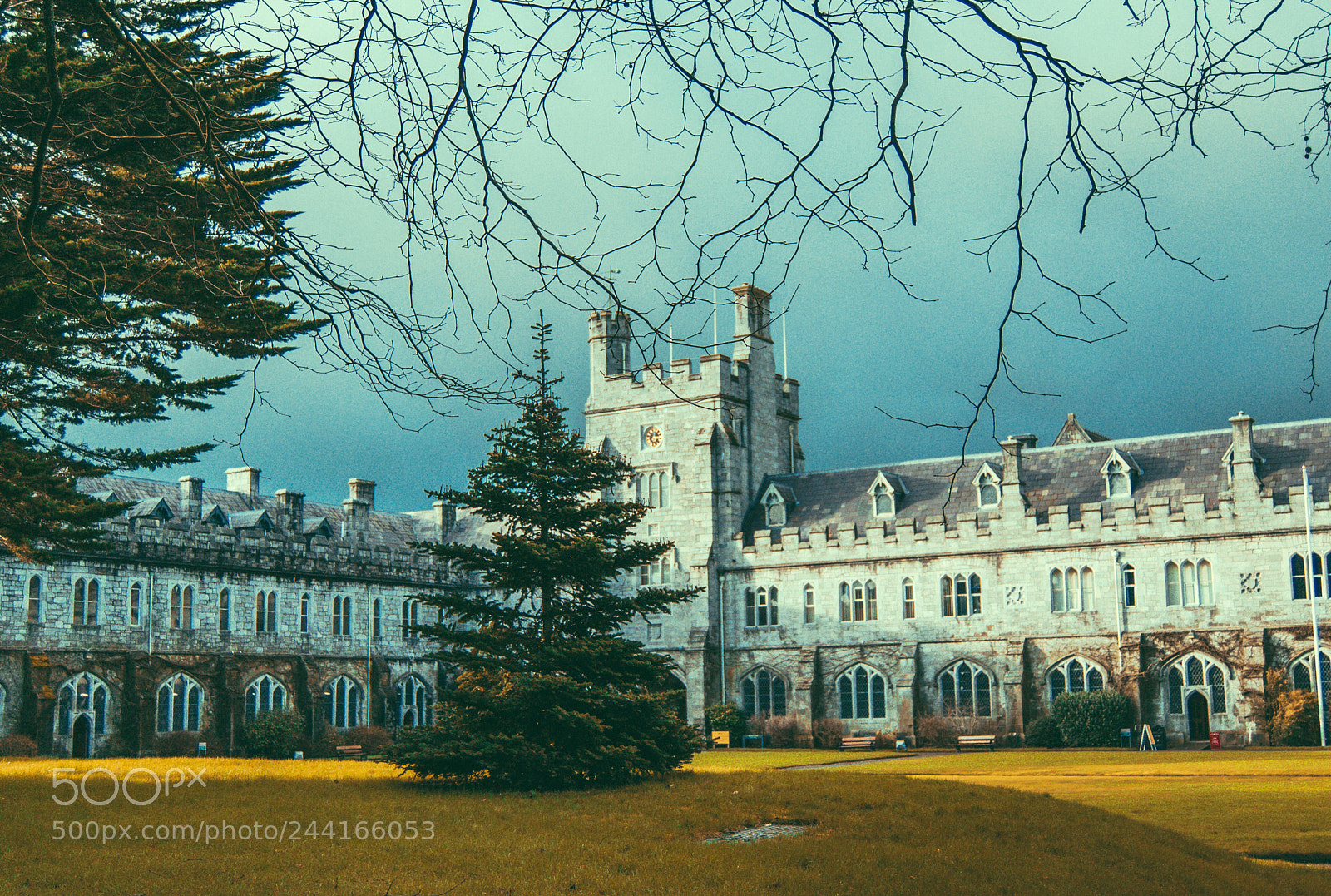 Nikon D3100 sample photo. Cork university photography