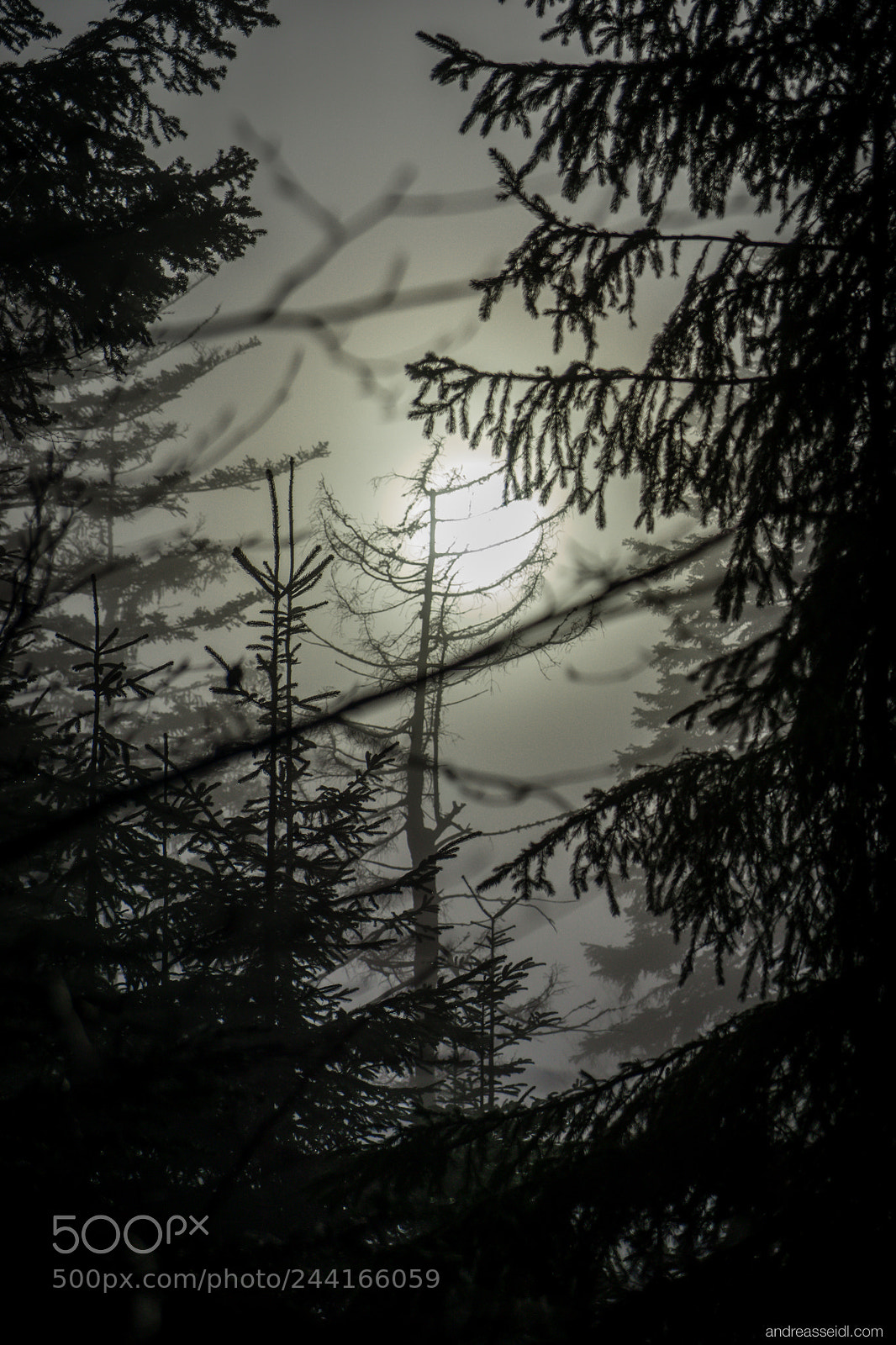 Sony a7 sample photo. Sonne hinter nebel und photography