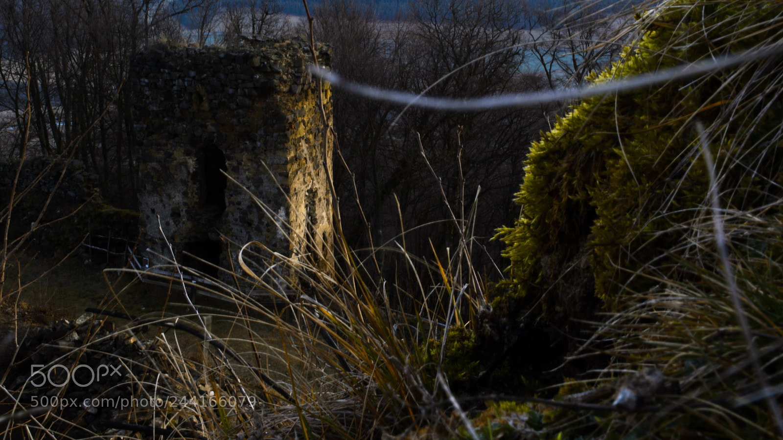 Nikon D3100 sample photo. Šariš castle photography