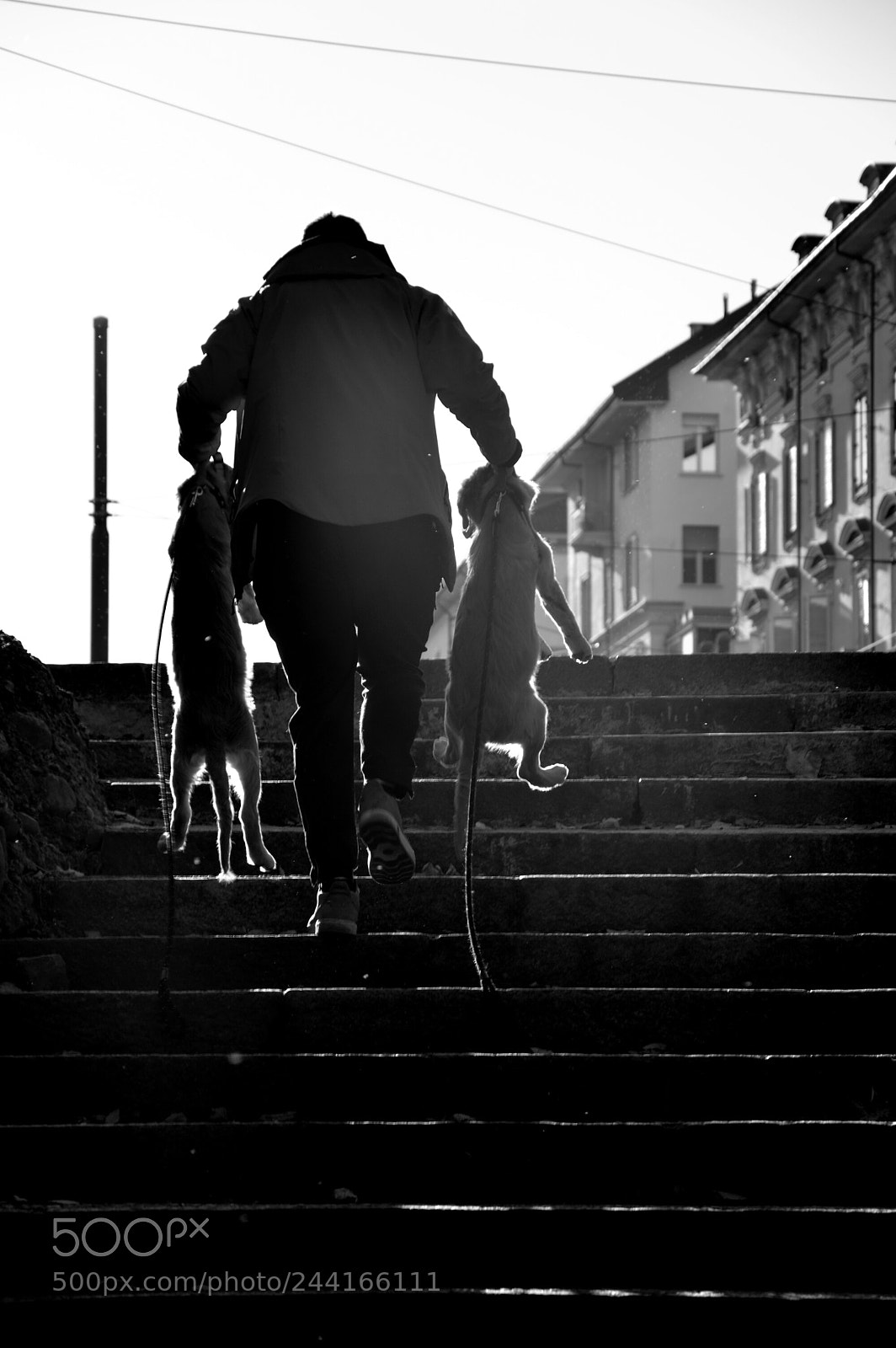 Nikon D3200 sample photo. Pigrizia. photography