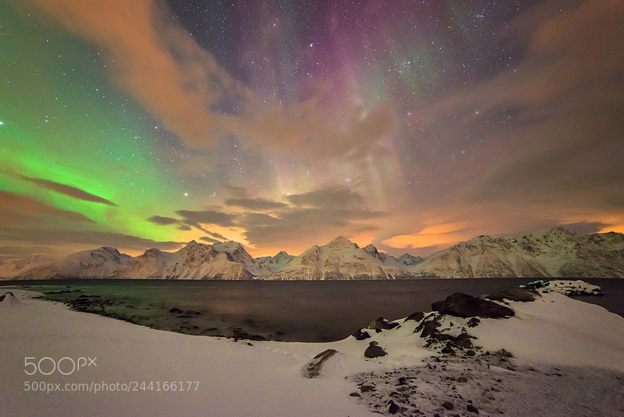 Nikon D800 sample photo. Lyngen alps photography