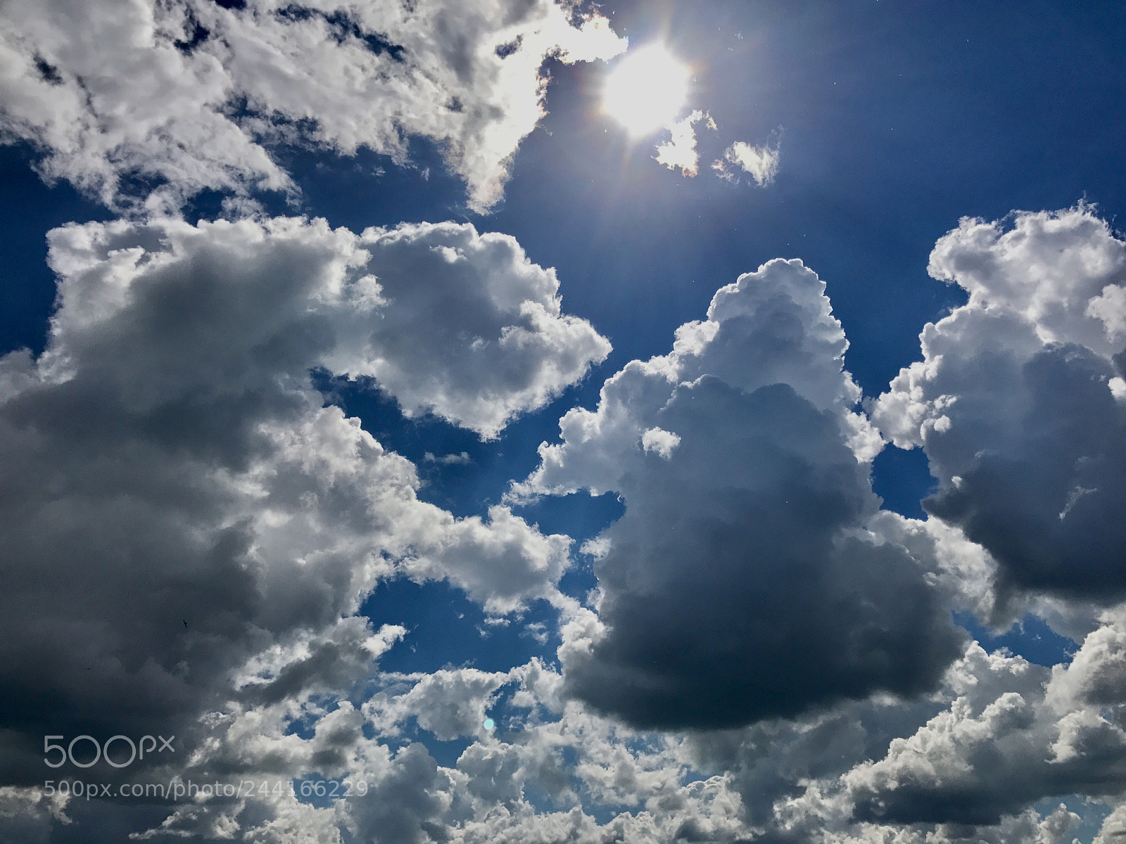Apple iPhone 7 sample photo. Sky, sky, sky! photography