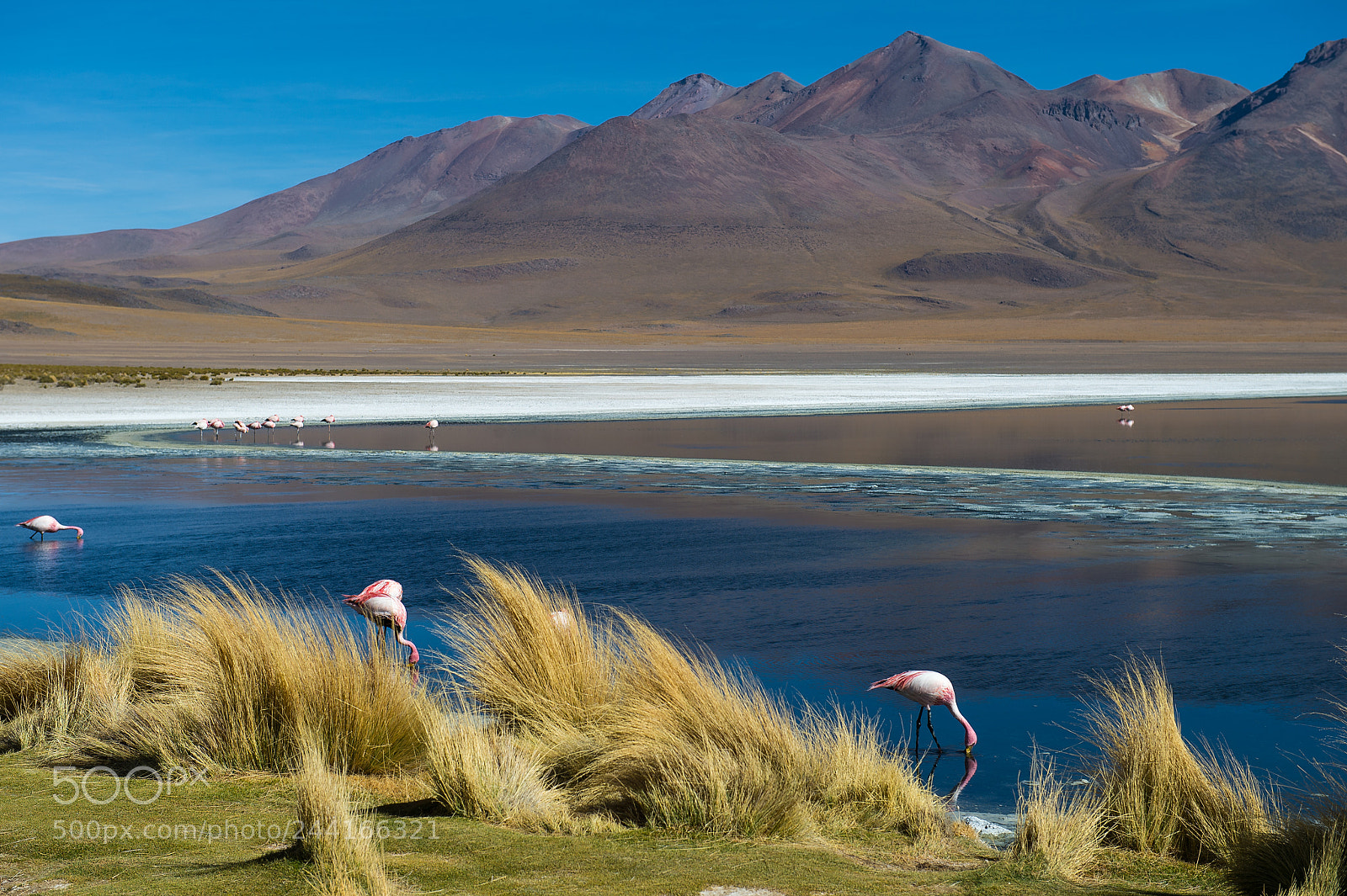 Nikon Df sample photo. Laguna cañapa photography