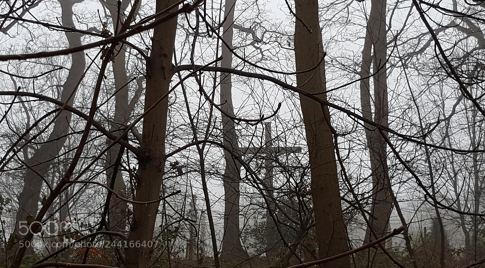 Samsung Galaxy S6 sample photo. Untitled photography