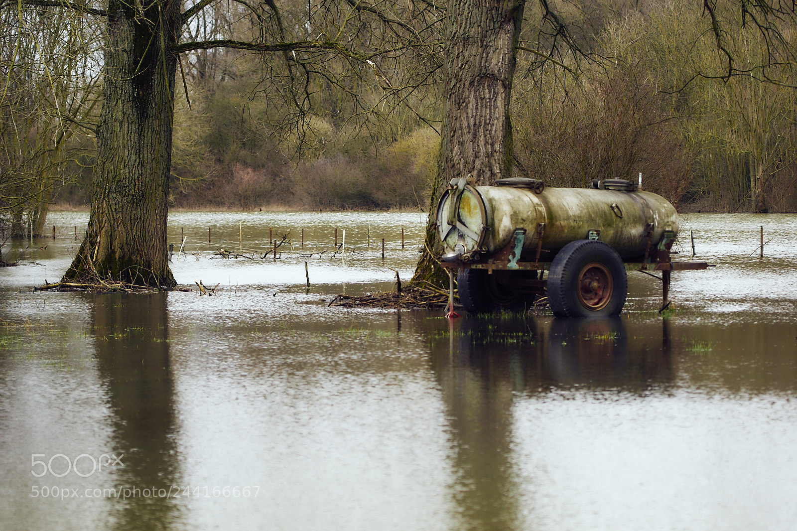 Sony ILCA-77M2 sample photo. Land unter photography