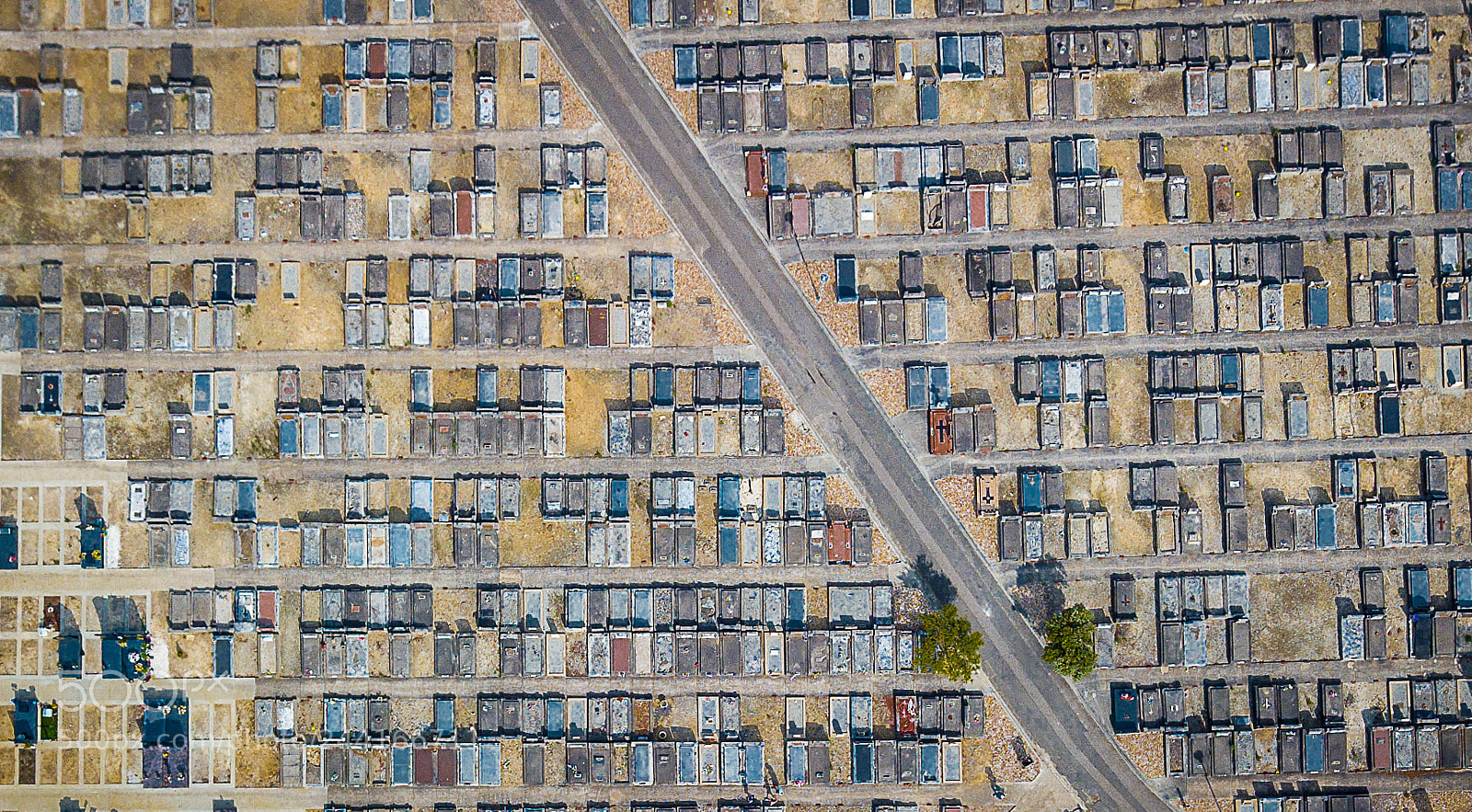 DJI FC220 sample photo. Cemetery symmetry photography