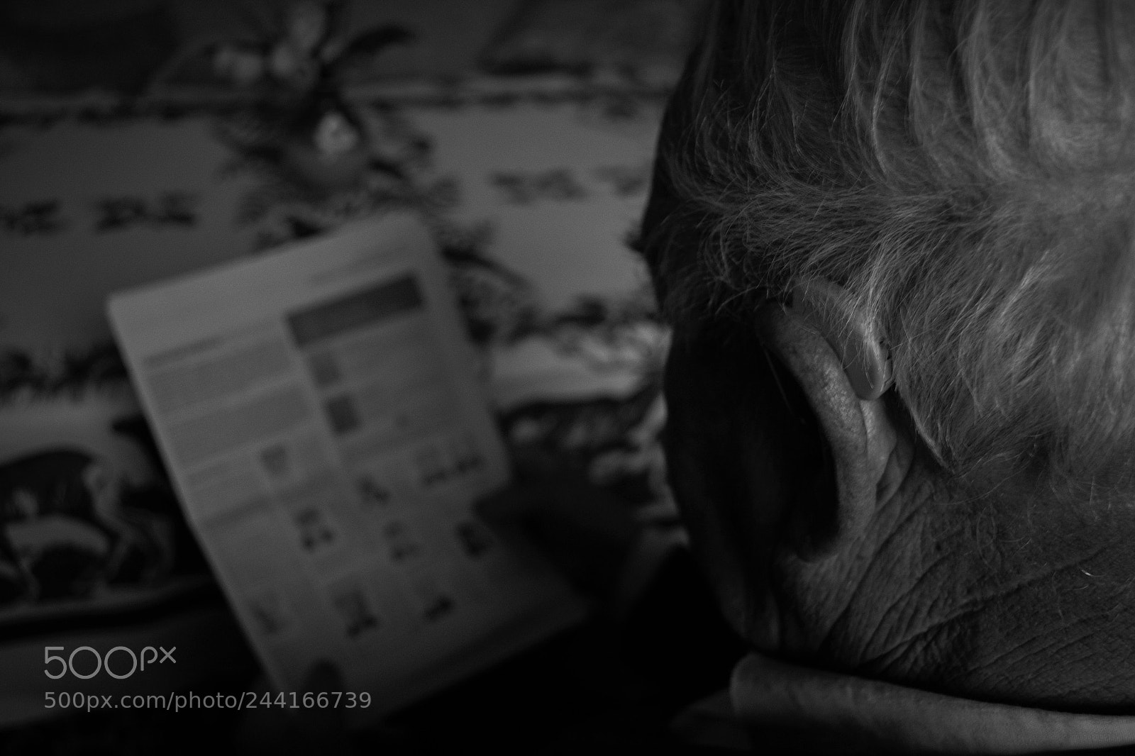 Nikon D3100 sample photo. Old man reading photography