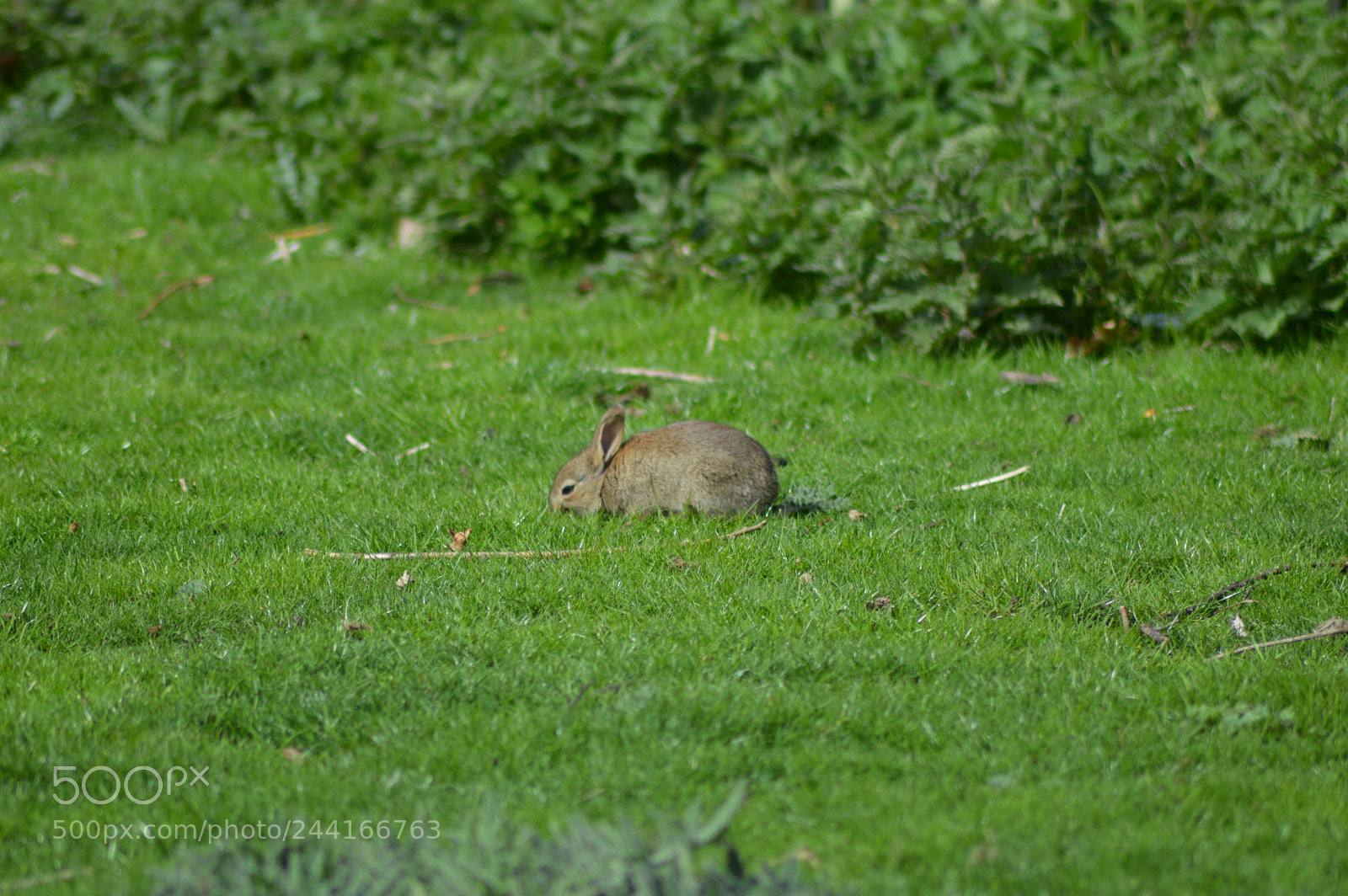 Nikon D3200 sample photo. Untitled photography