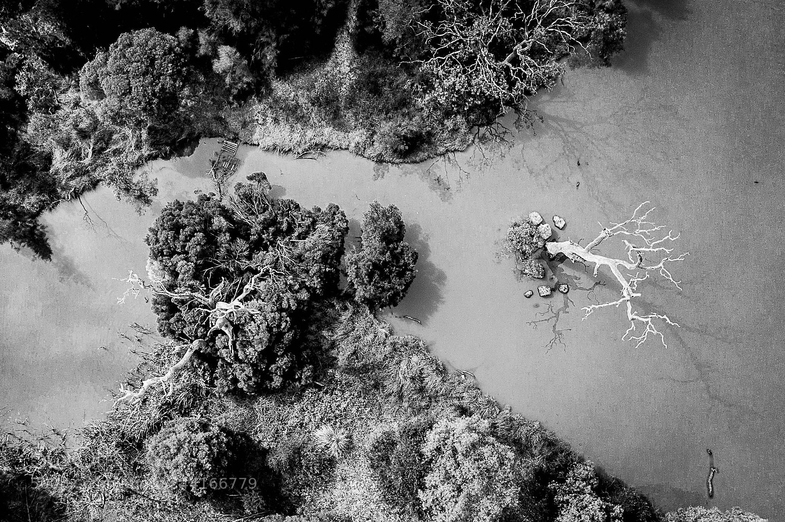 DJI FC220 sample photo. Dead wood photography