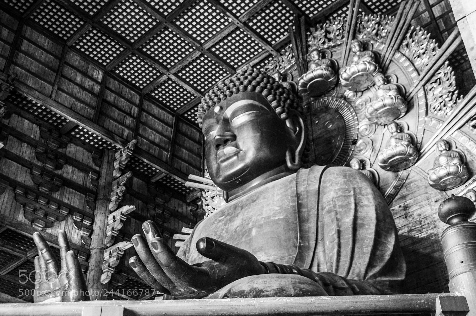 Nikon D3200 sample photo. Dainichi photography