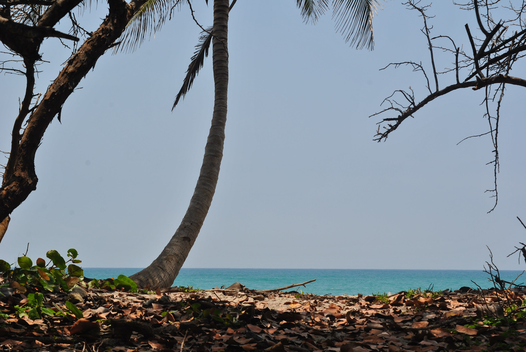 Nikon D3000 sample photo. Mar caribe photography