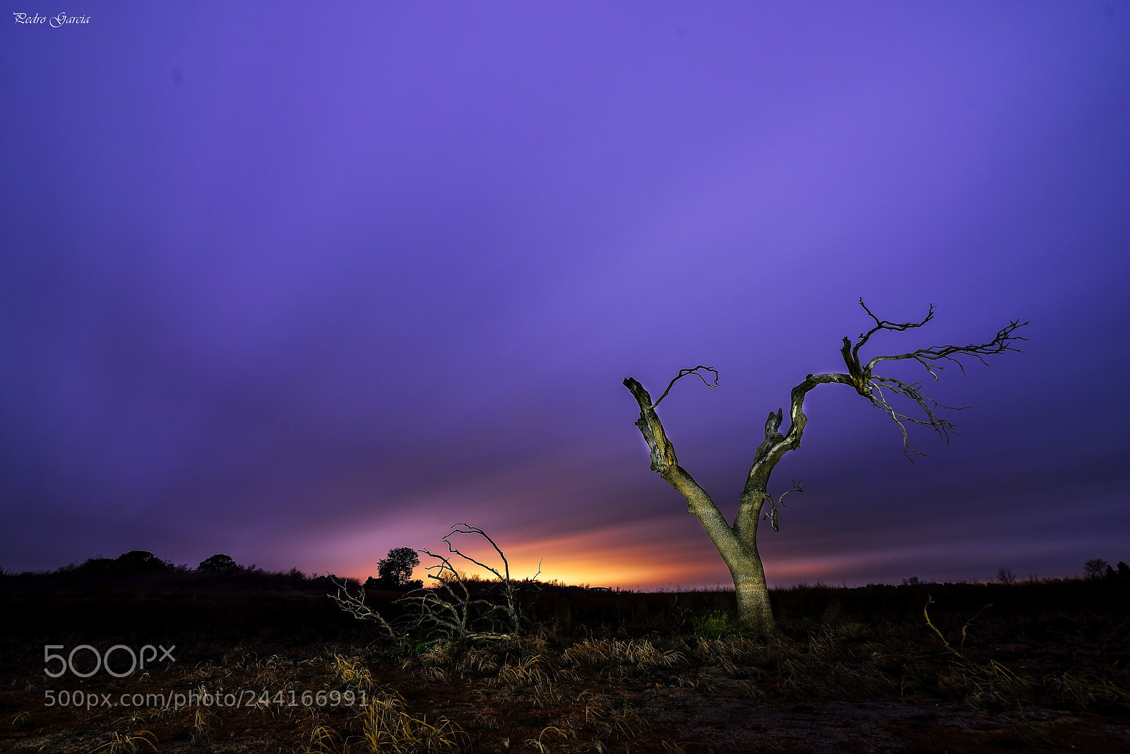 Nikon D800 sample photo. Scenes in the night photography