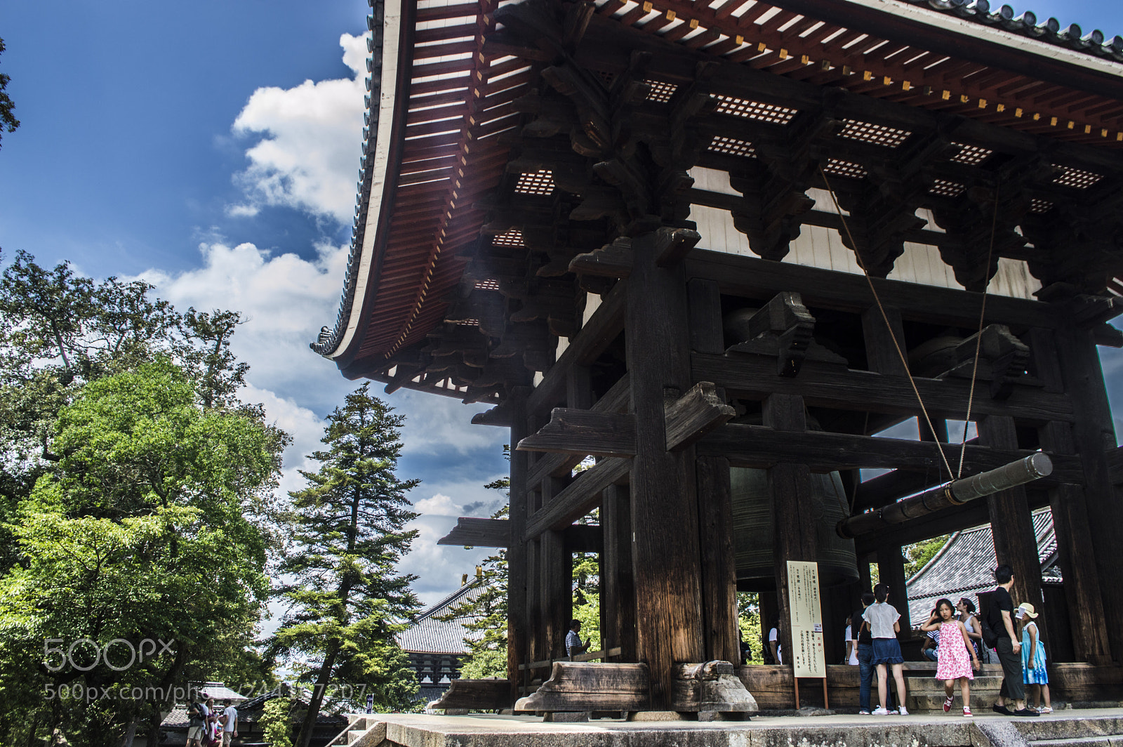 Nikon D3200 sample photo. Light in nara photography