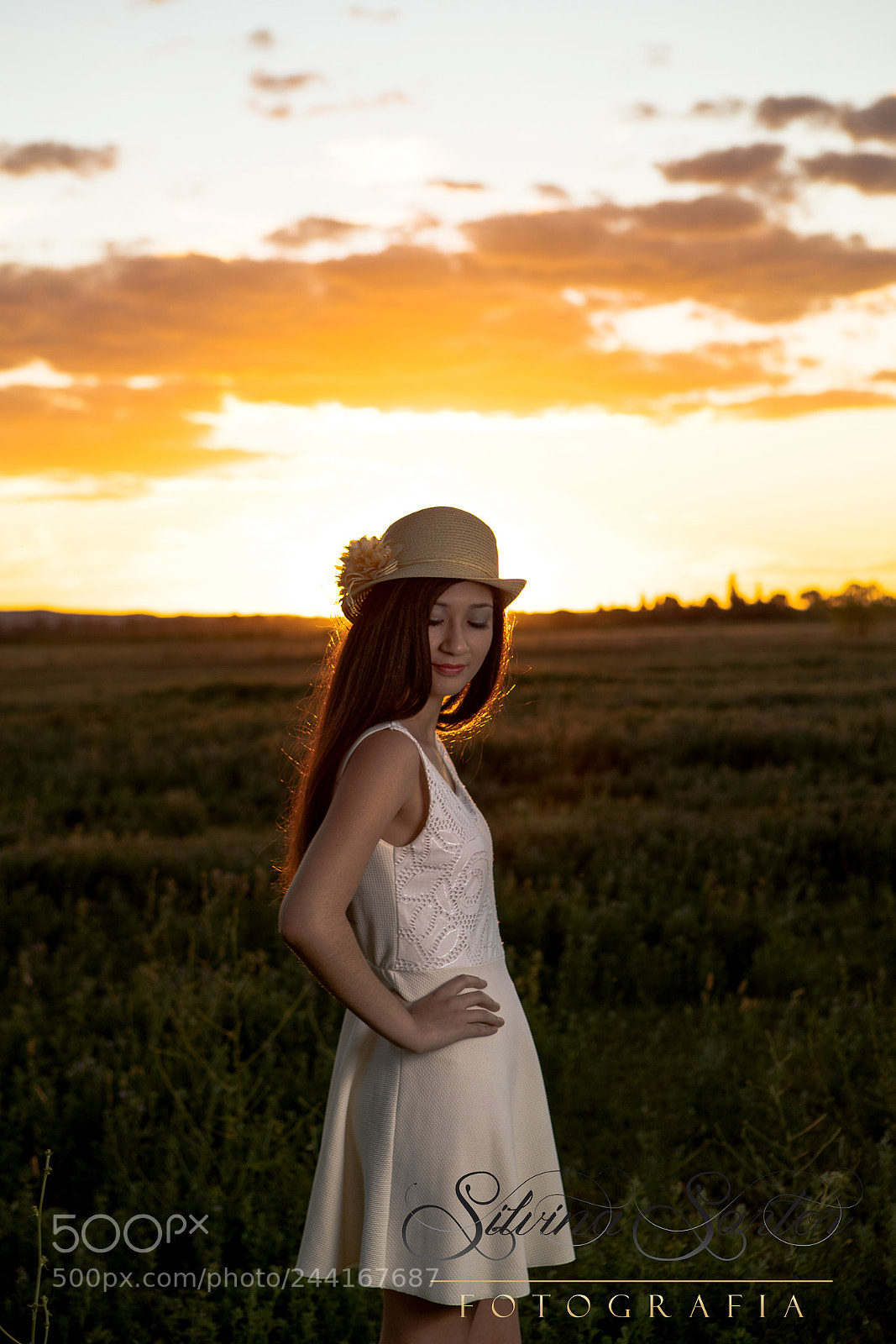 Canon EOS-1D X Mark II sample photo. Atardecer photography