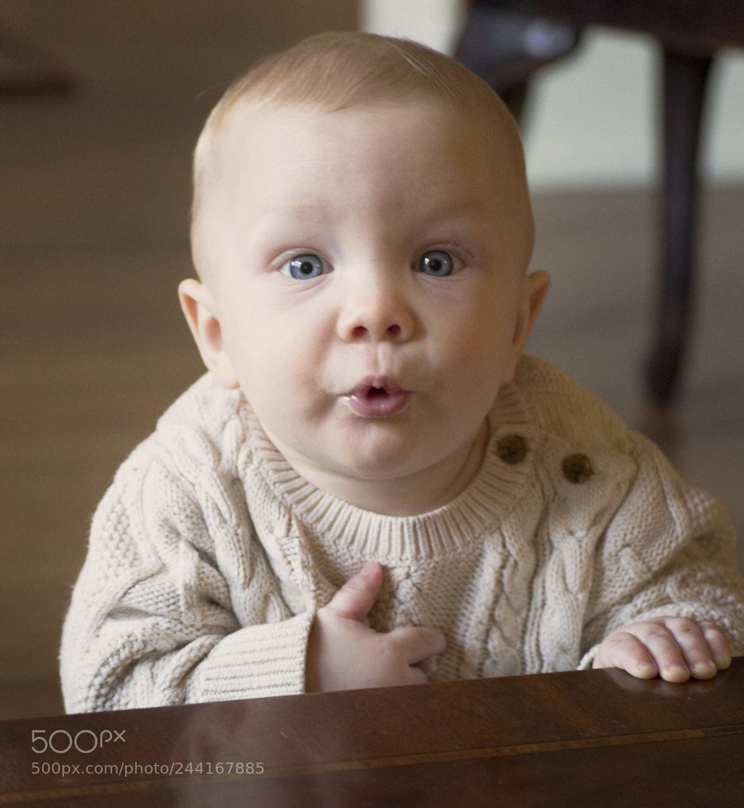 Nikon D3100 sample photo. Too cute photography