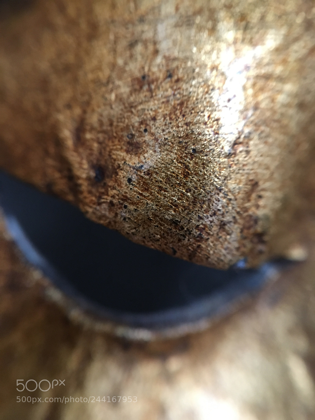 Apple iPhone 6s sample photo. Mask photography