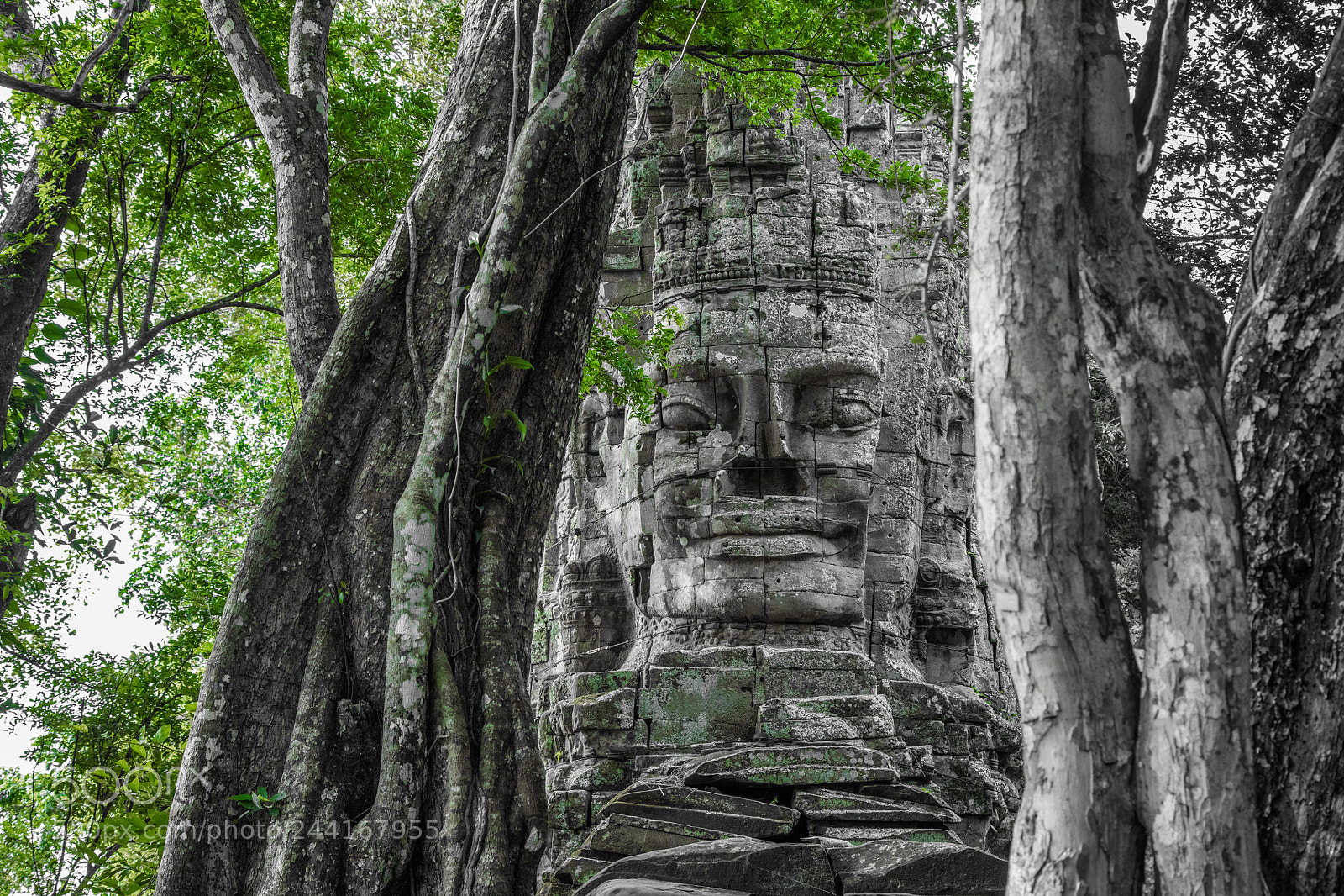Canon EOS 5DS R sample photo. Great bayon gate photography