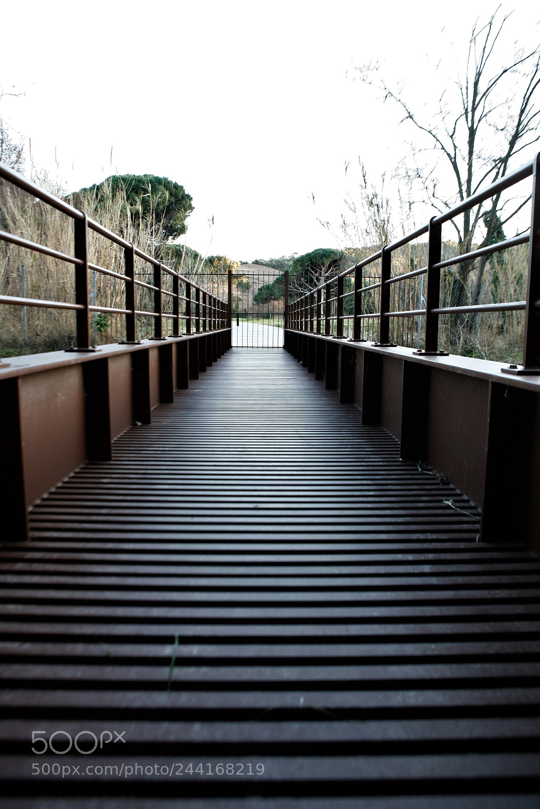Canon EOS 5D sample photo. Paulilles 3 photography