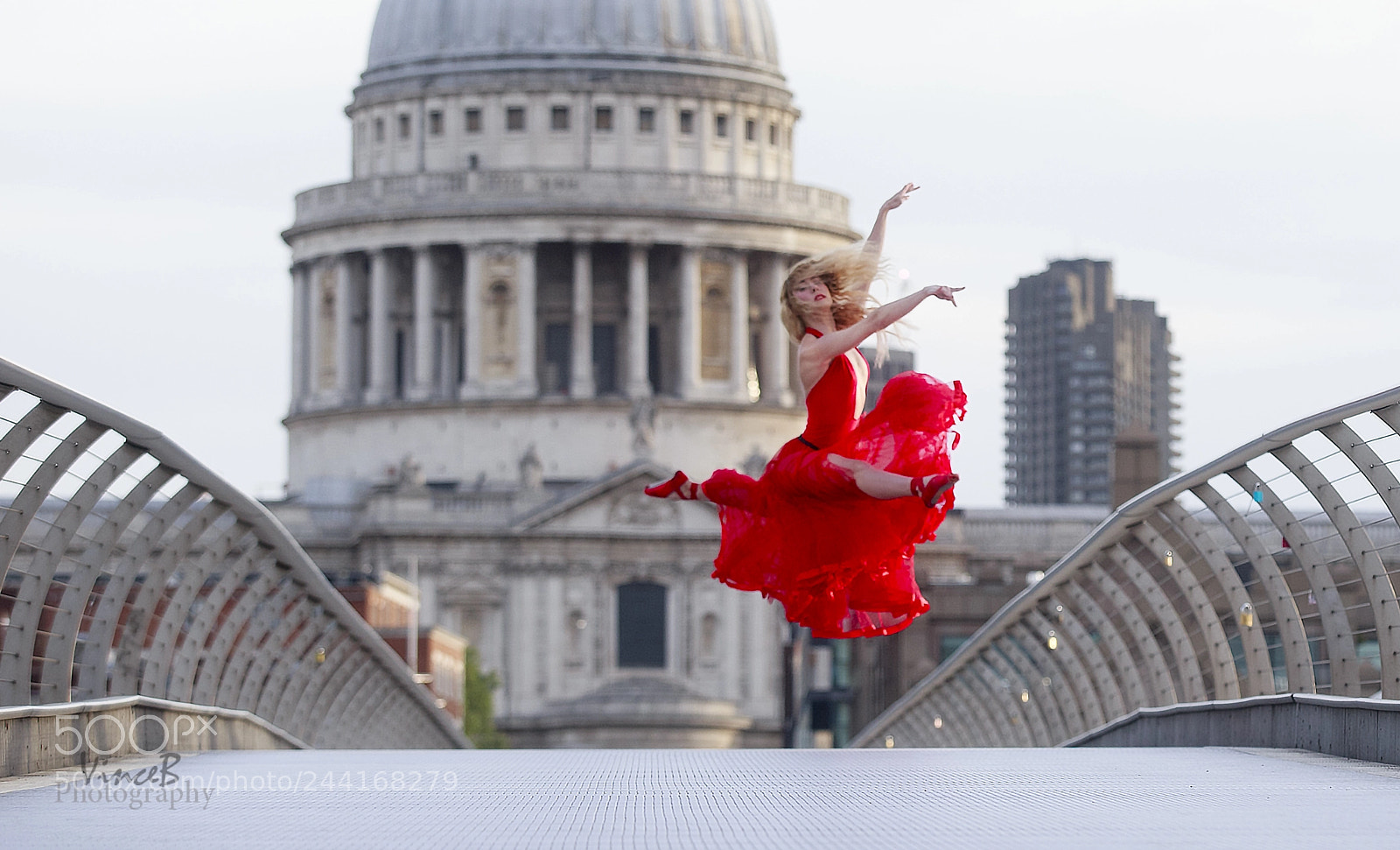 Canon EOS-1D X sample photo. Cat amoung st pauls photography