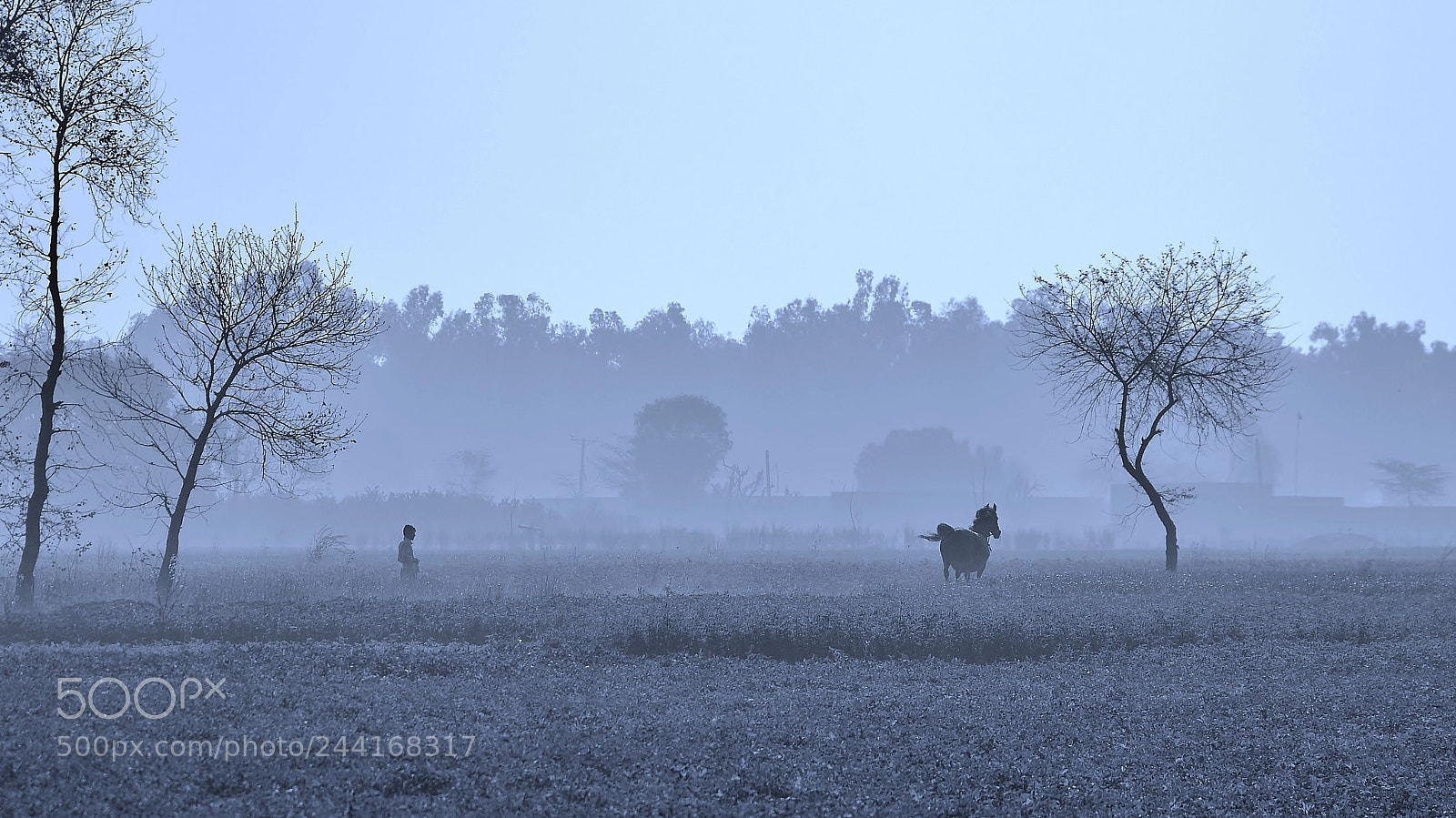 Nikon D3200 sample photo. Village photography