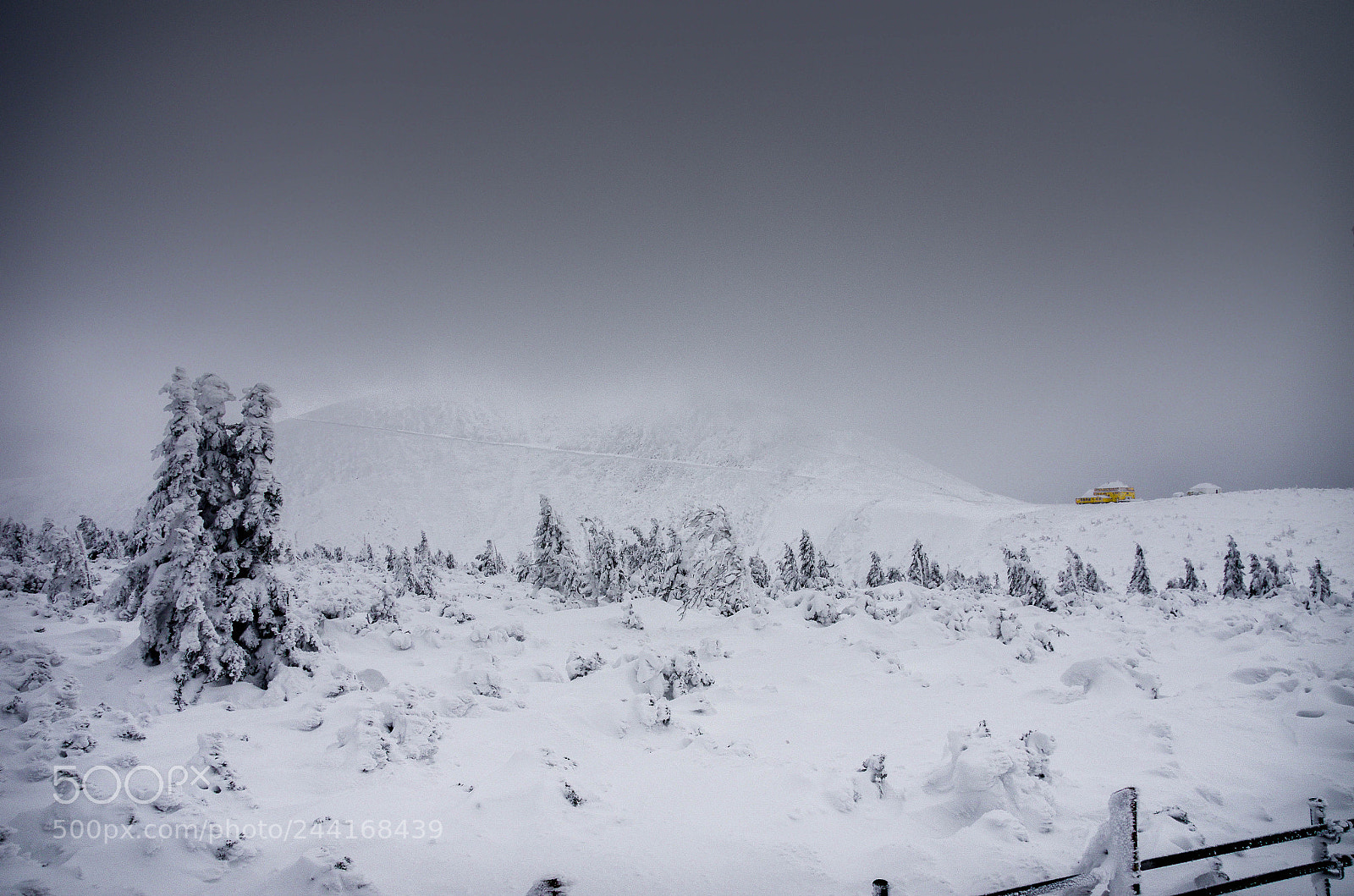 Pentax K-5 II sample photo. Karkonosze at winter photography
