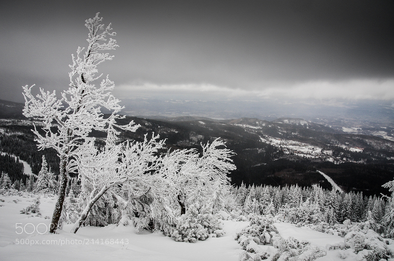 Pentax K-5 II sample photo. Karkonosze at winter photography