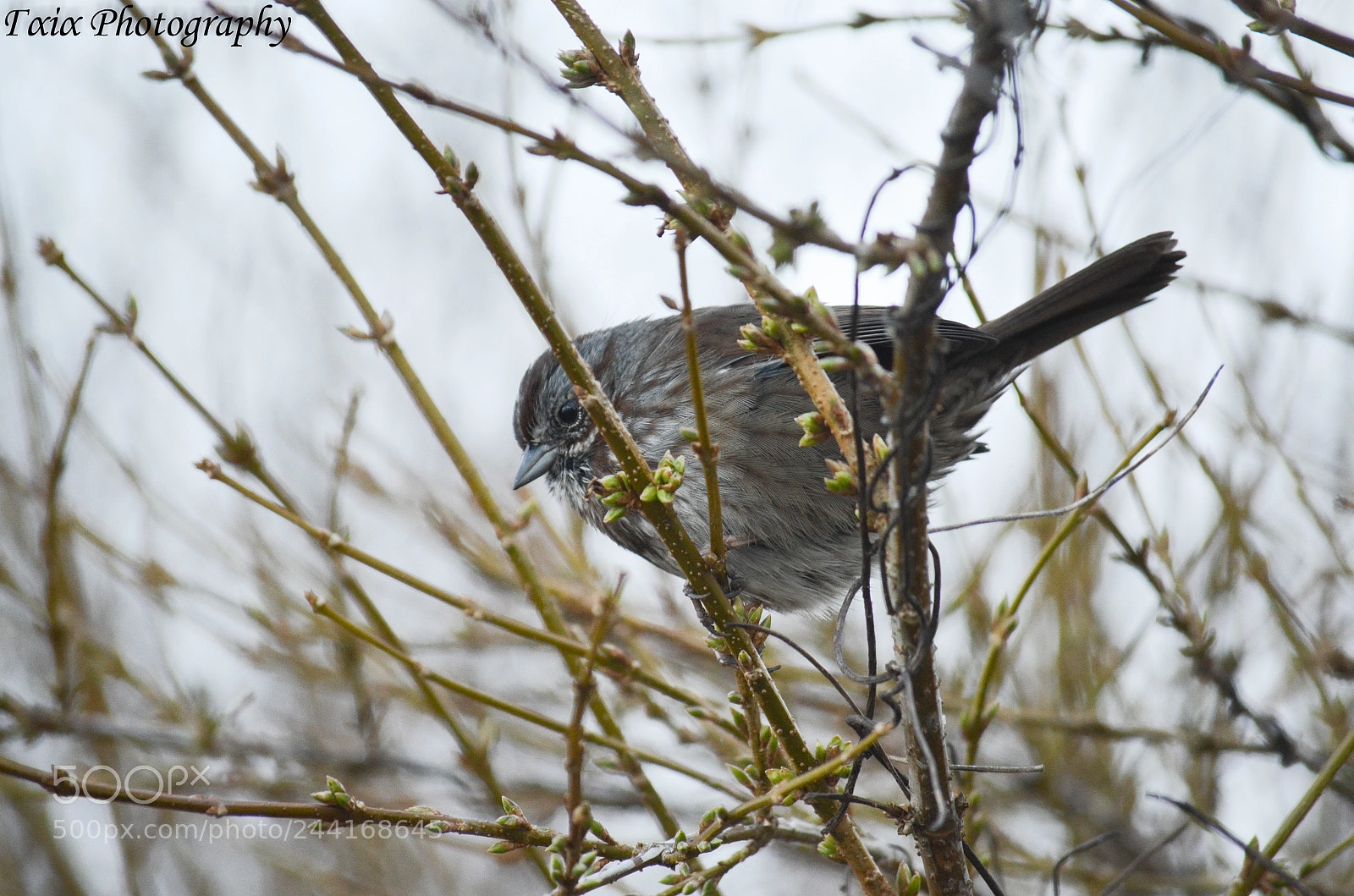 Nikon D5100 sample photo. Untitled photography