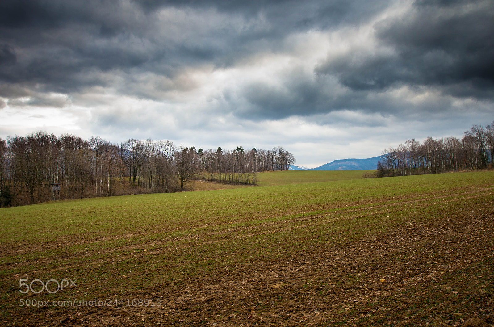 Pentax K-5 II sample photo. Opawskie - parkowa mountain photography