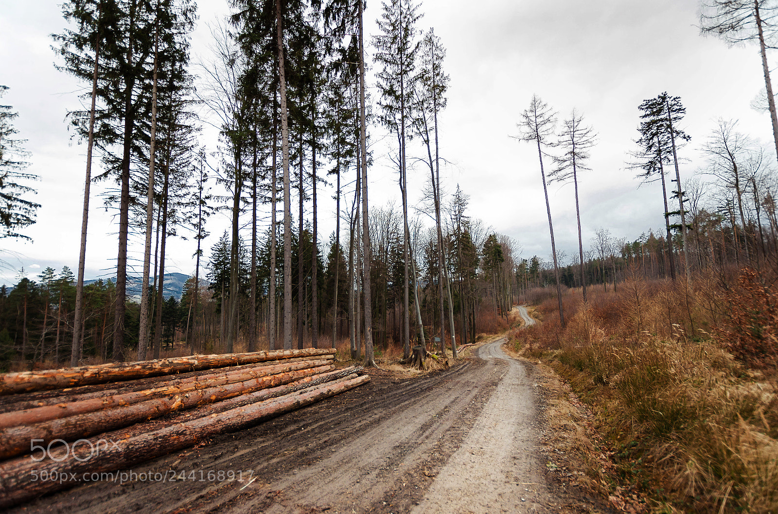 Pentax K-5 II sample photo. Opawskie - parkowa mountain photography