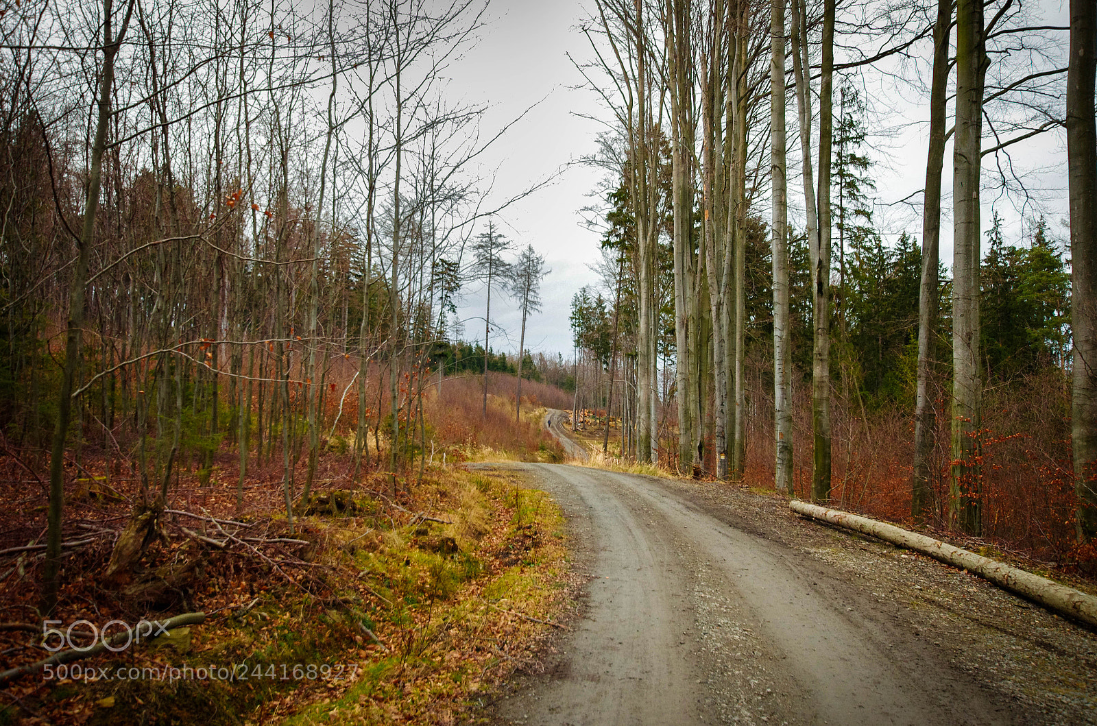 Pentax K-5 II sample photo. Opawskie - parkowa mountain photography