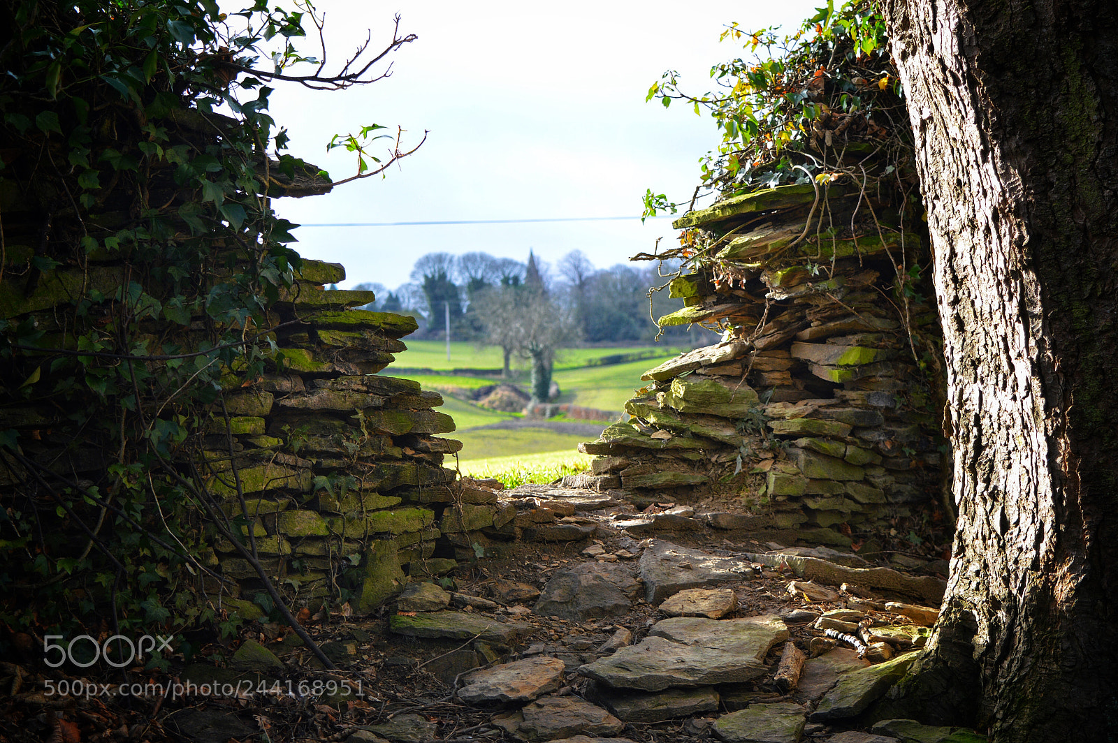 Nikon D3200 sample photo. British country side photography