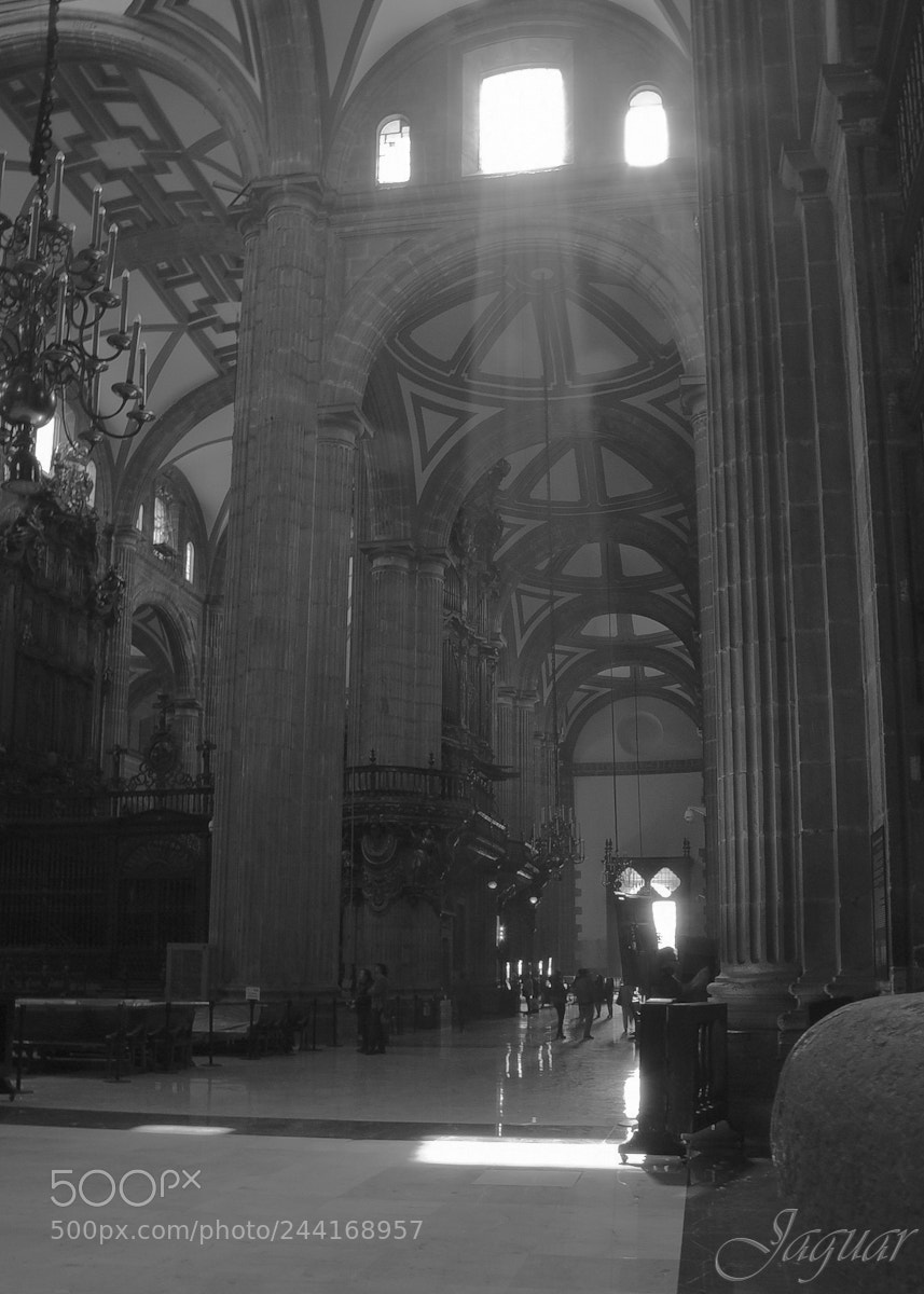 Nikon D810 sample photo. Catedral photography